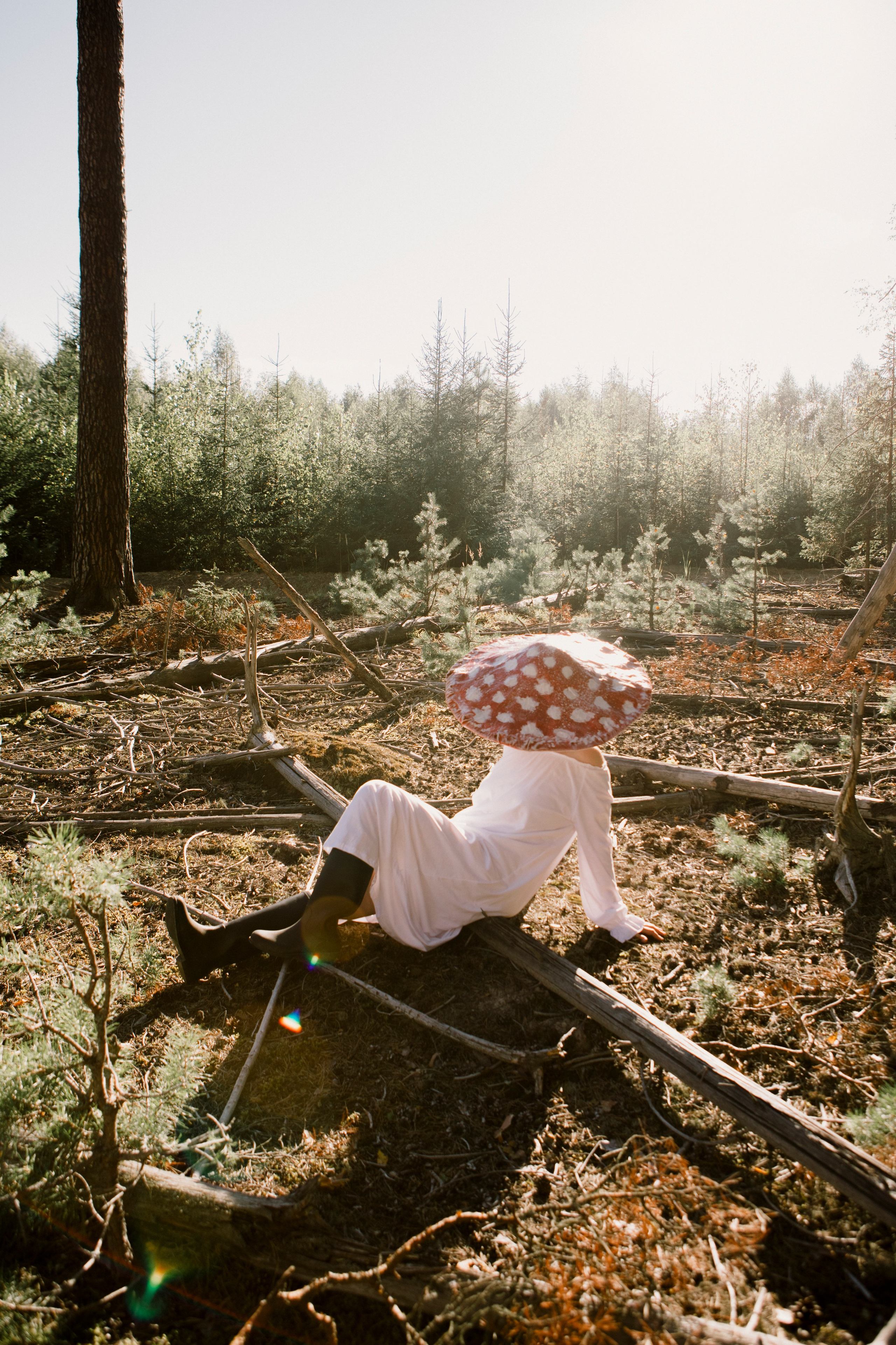 Грибы. Ольга Пилант. АРТ, бэкстейдж, свадебная и семейная фотография, городской портрет, интерьерная фотография