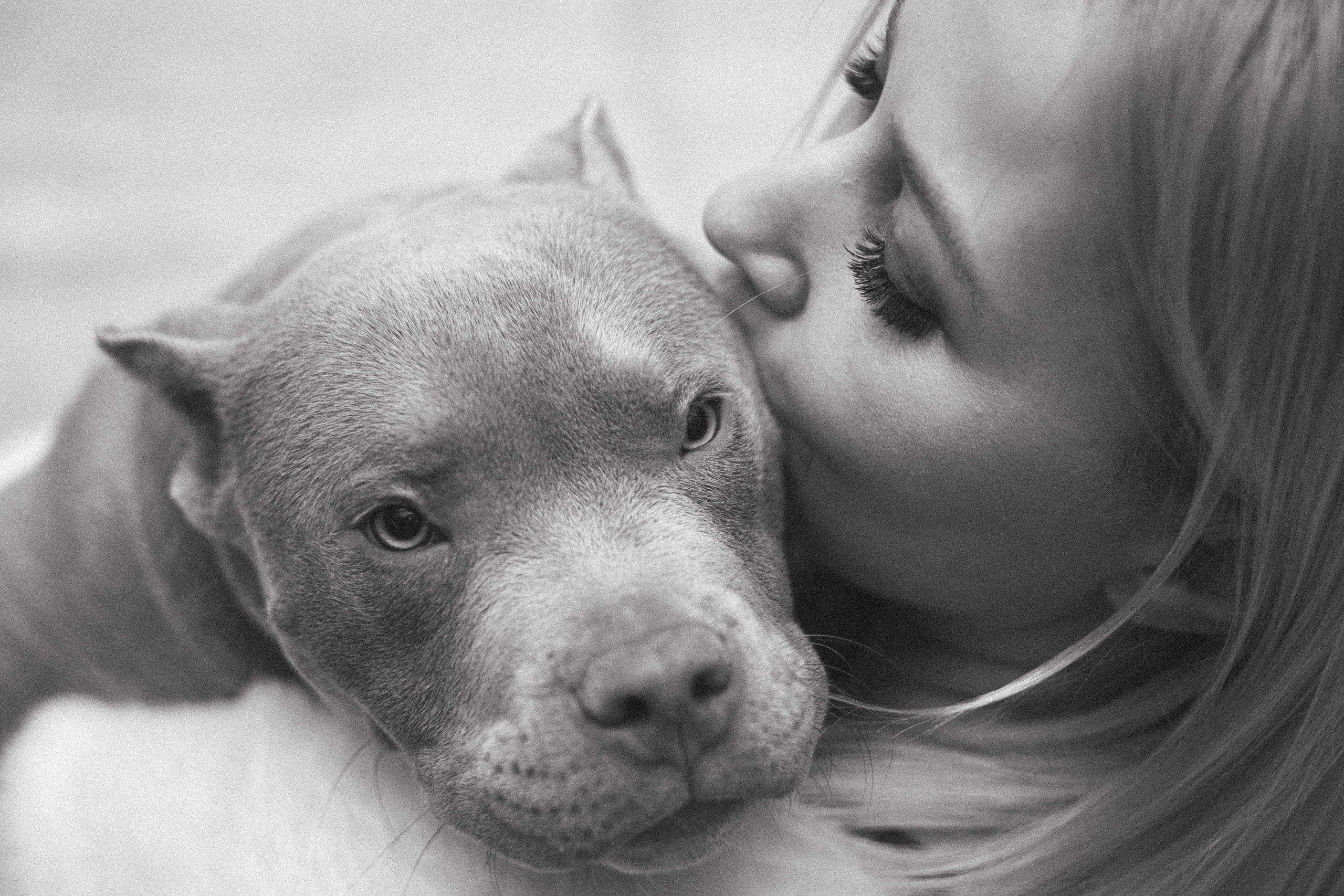 Екатерина, Юрий и Аксель. Фотограф животных Евгения Верцинская