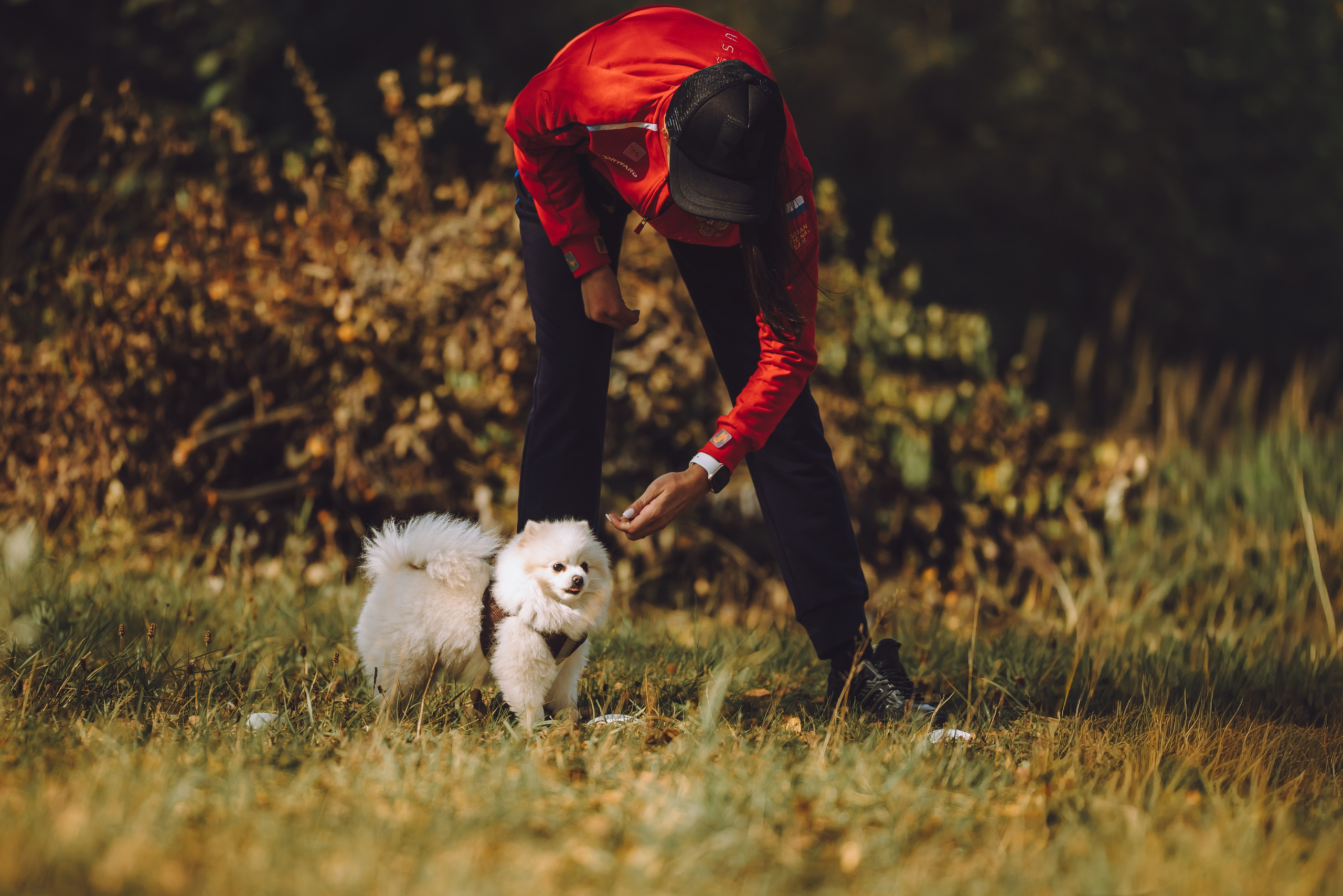 Выездной дог-тренинг от школы «Шерсть имею», Тованово