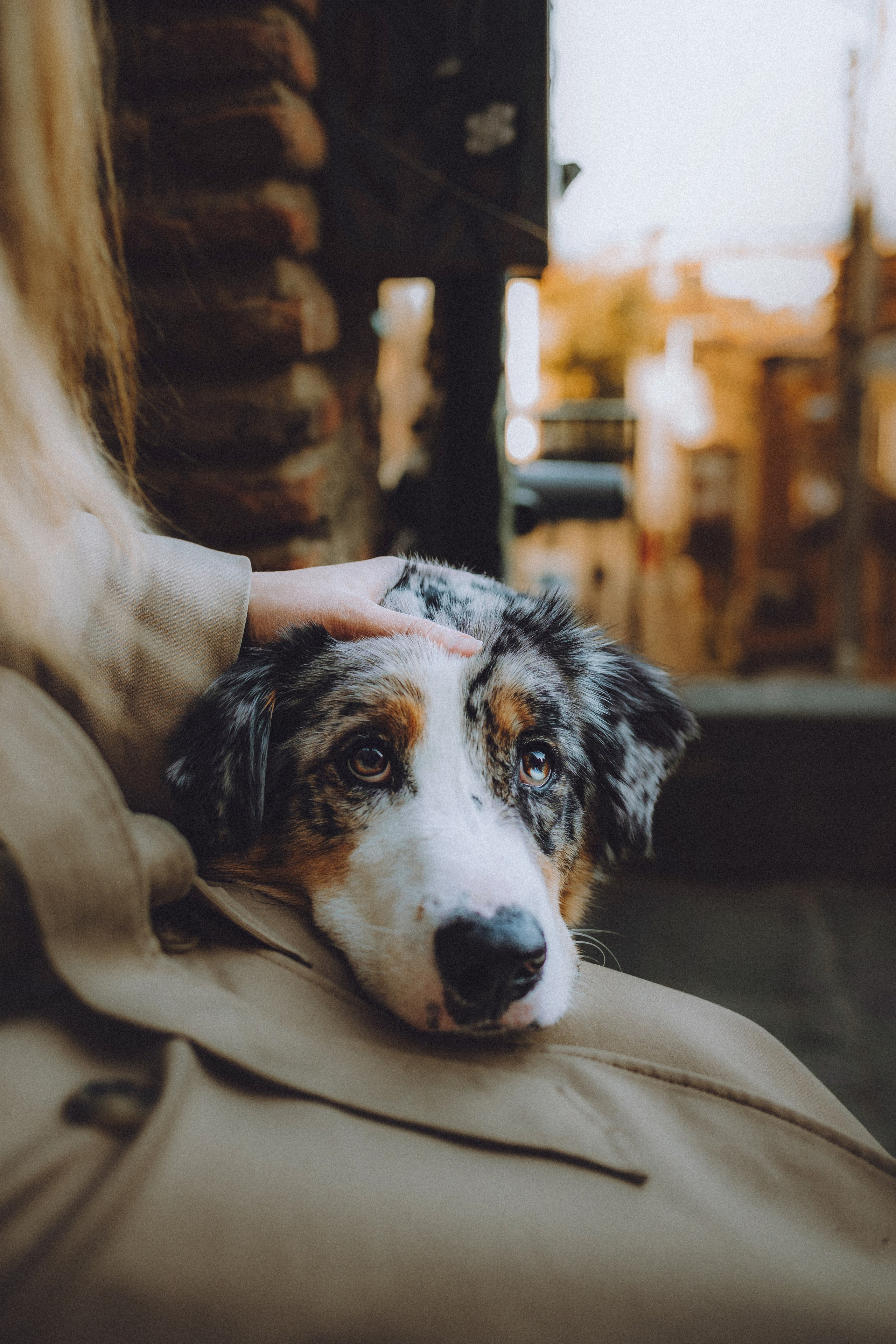 Саша, Рома и Один