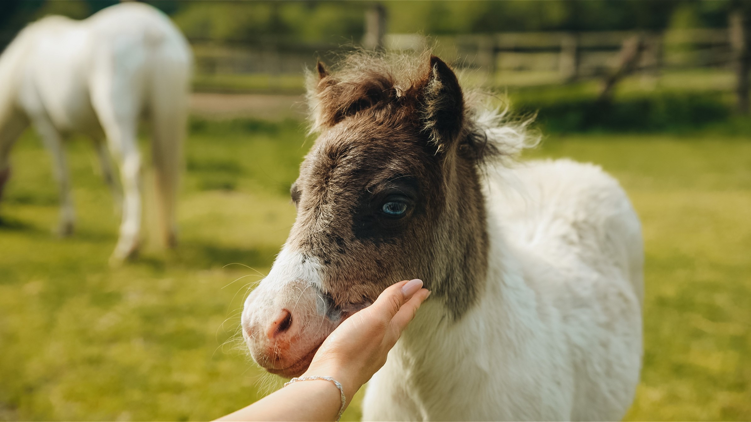 Тур — девичник LEF.TRAVEL.CLUB. KRIS KRUPINNIKOVA