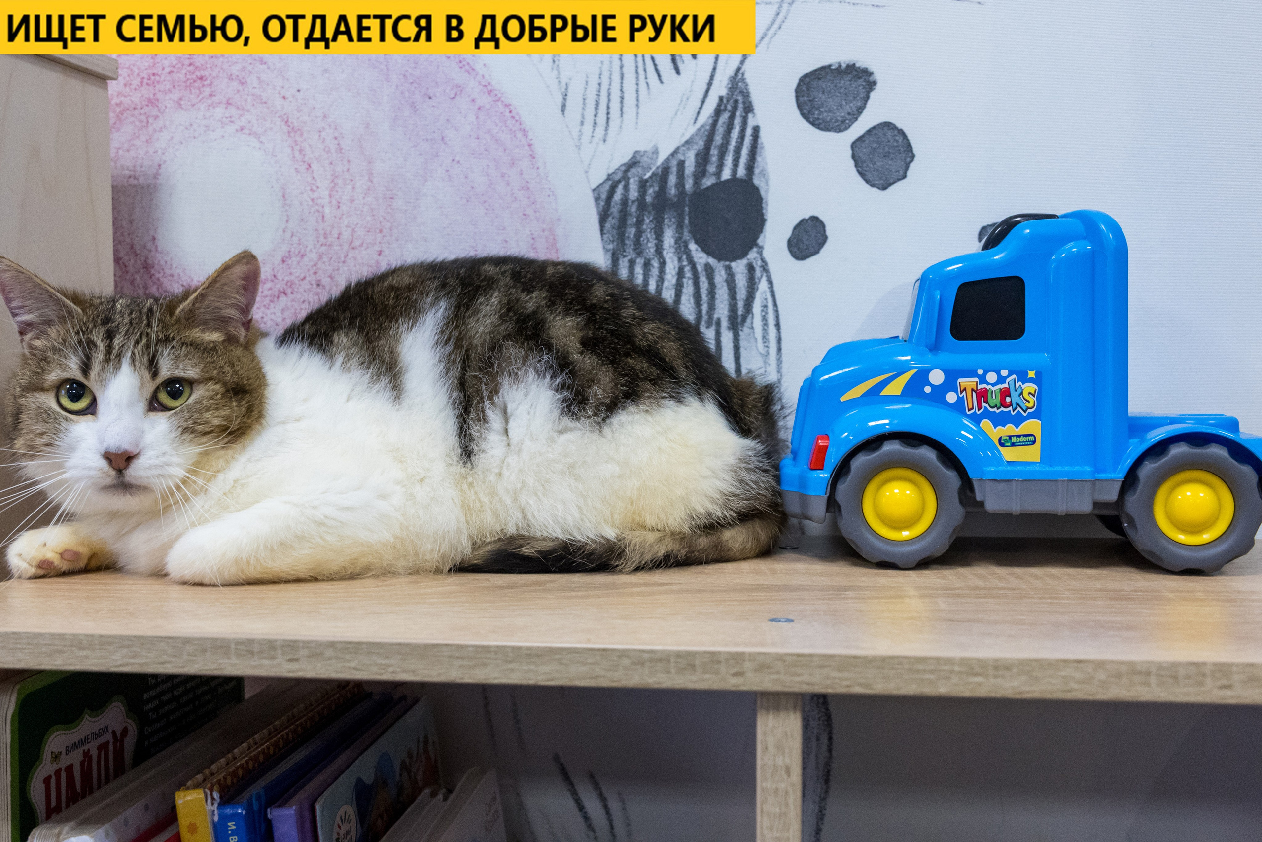 Рекламная съемка в Москве. Геннадий Степанов —фотограф в Москве
