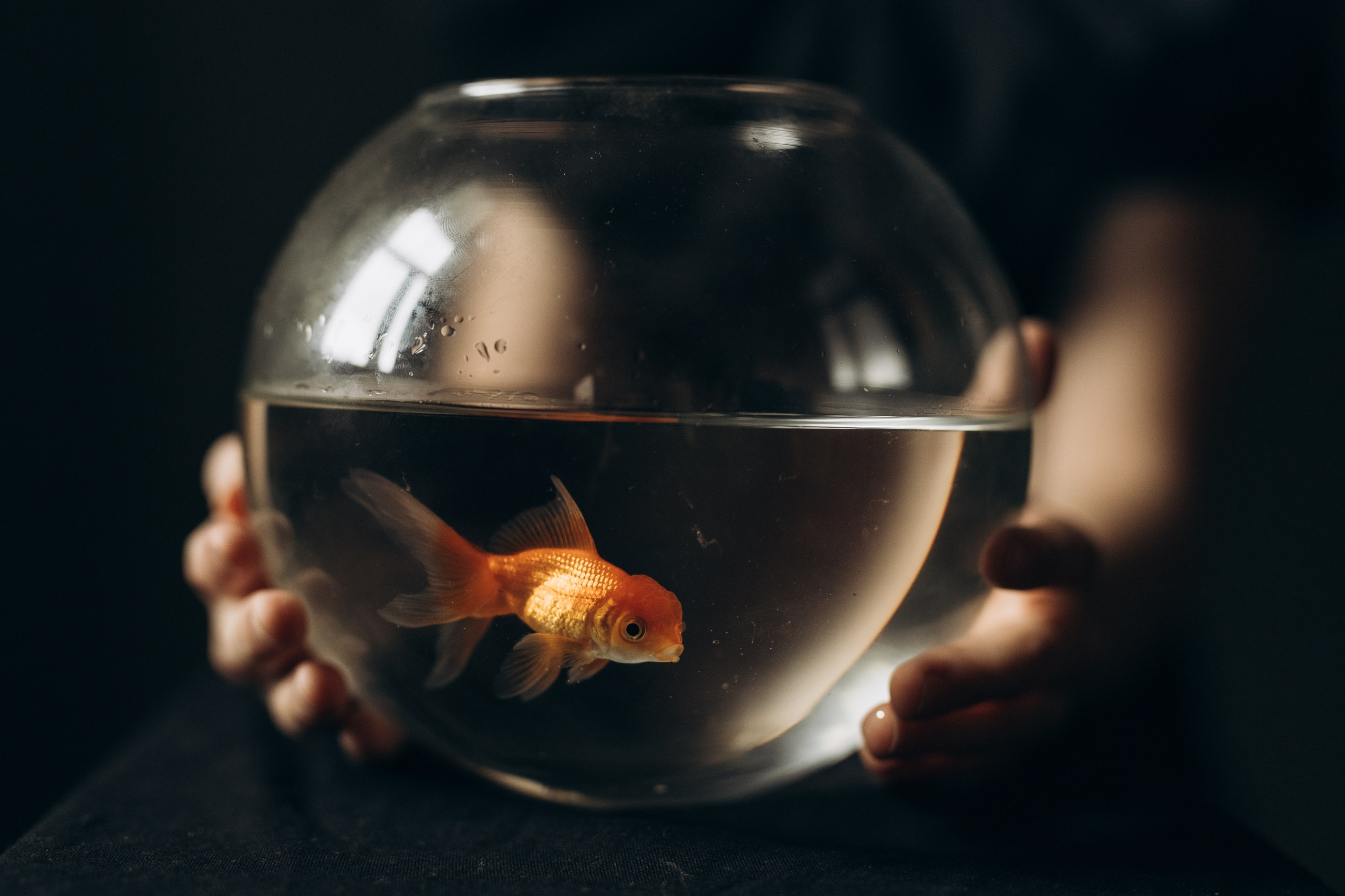 Сёстры. Фотограф Людмила Оюн