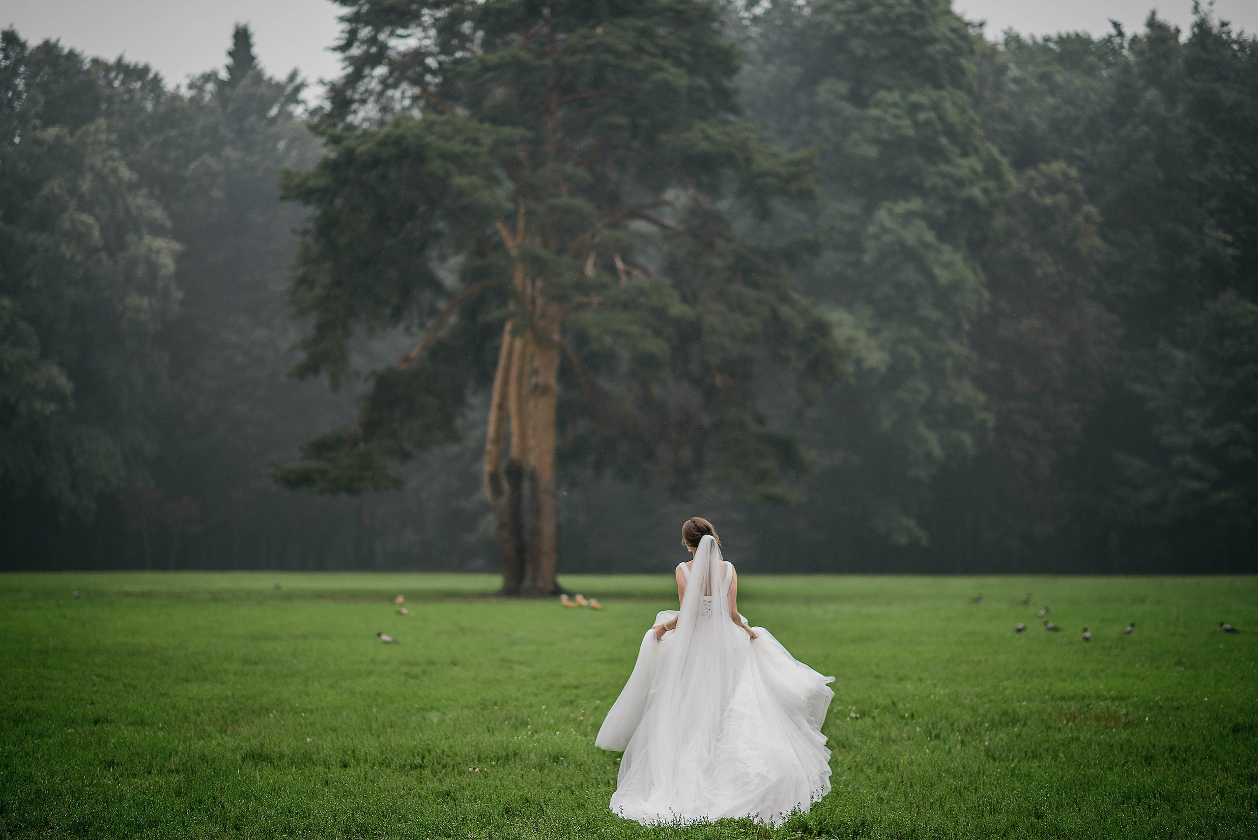 Tsaritsyno. Свадебный и семейный фотограф в г. Москва Ирина Гаврилова