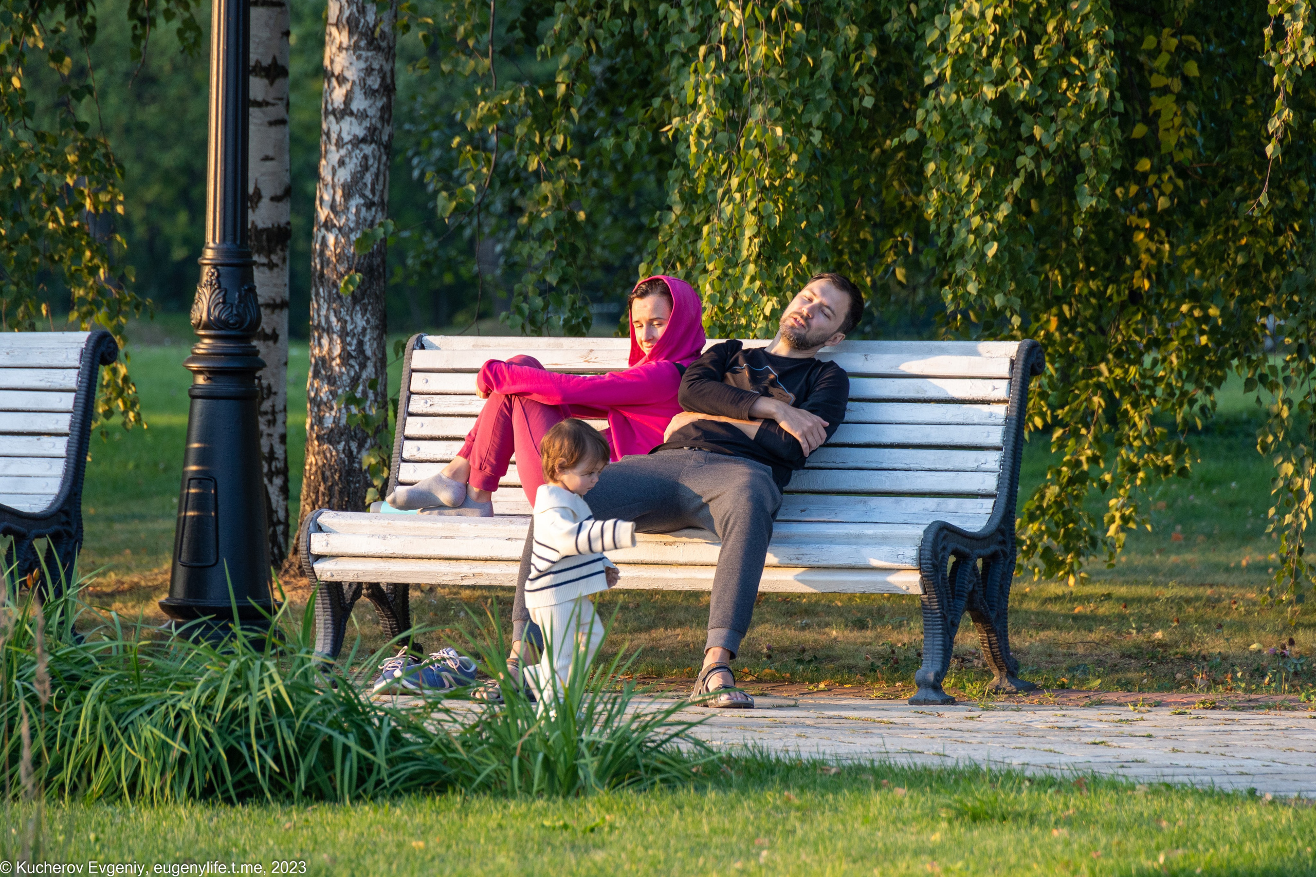 Скамейки. Кучеров Евгений. Фотограф