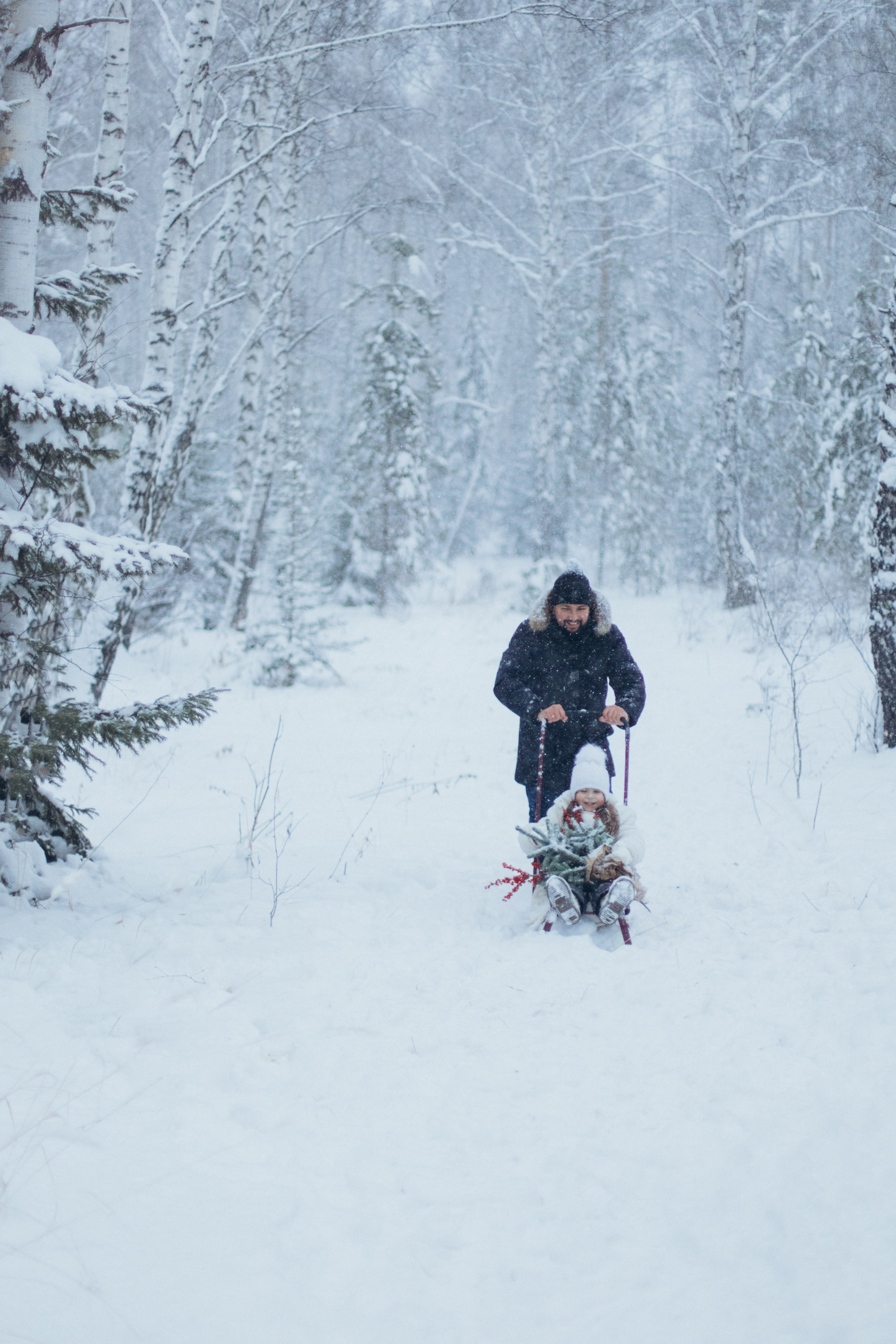 Зимняя история