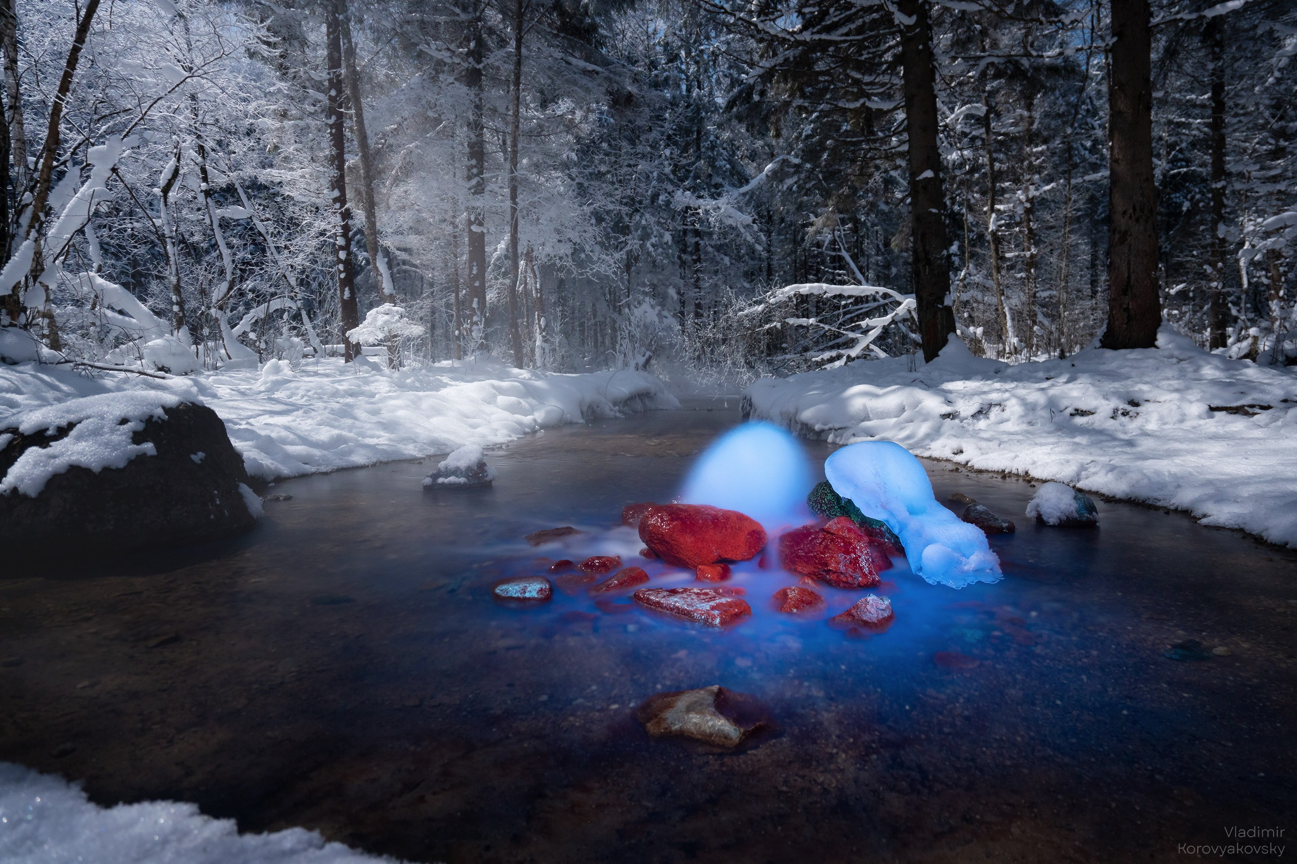 Nature. Photographer Vladimir Korovyakovsky