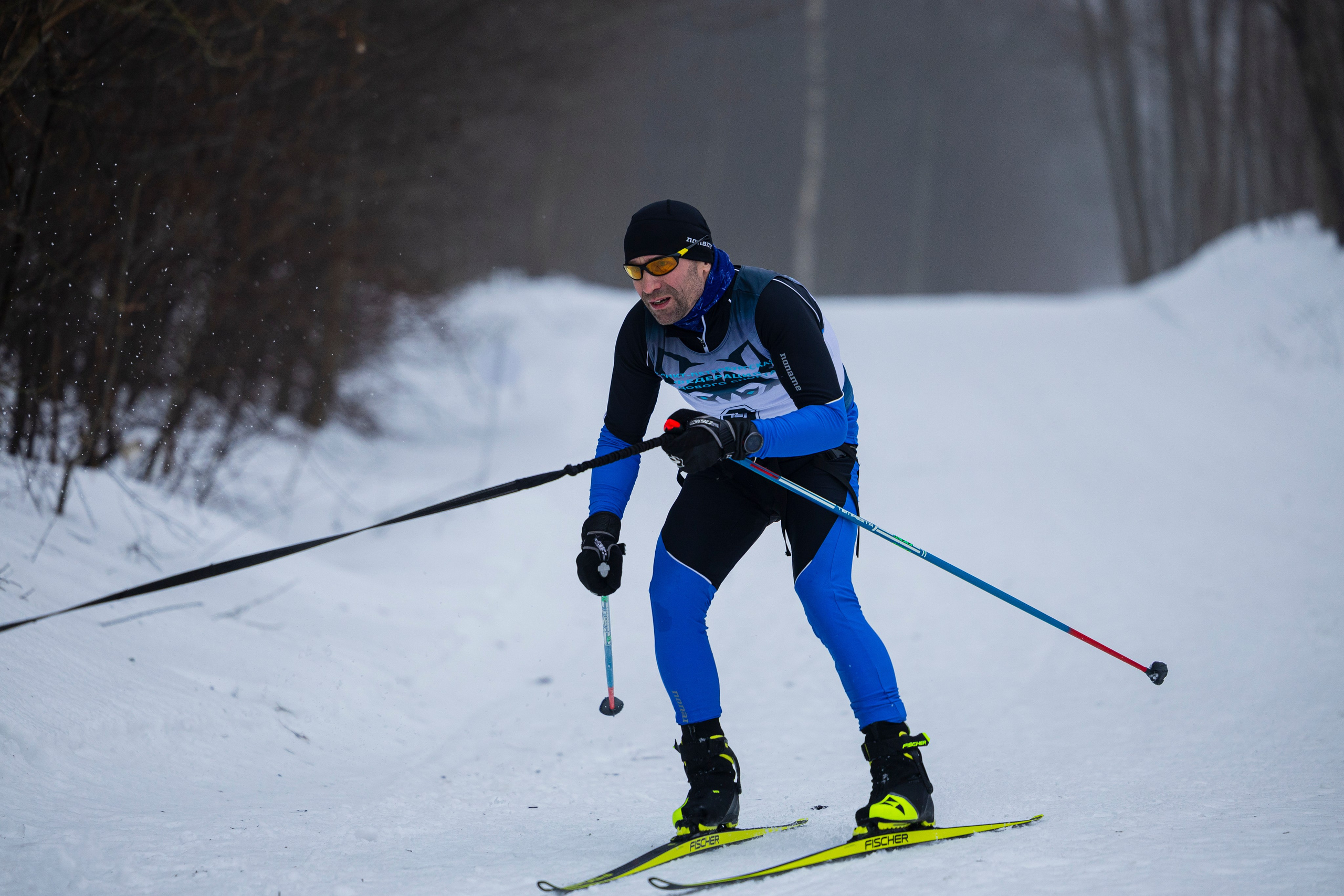 Зимний Чемпионат Санкт-Петербурга по ездовому спорту. Фотограф-анималист Анна Маринич
