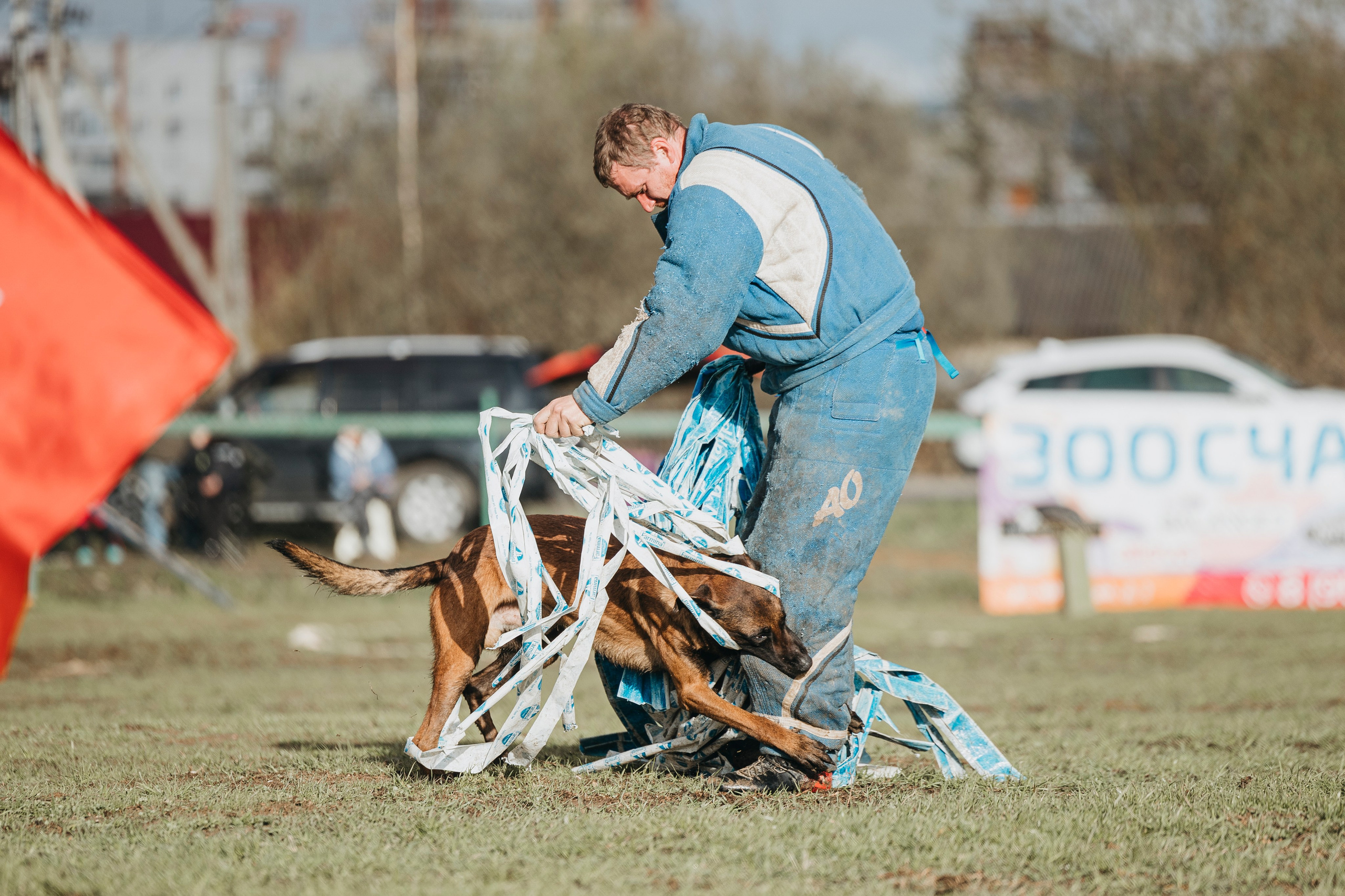 09.05.25 Вологда соревнования. Фотограф-анималист Анна Маринич