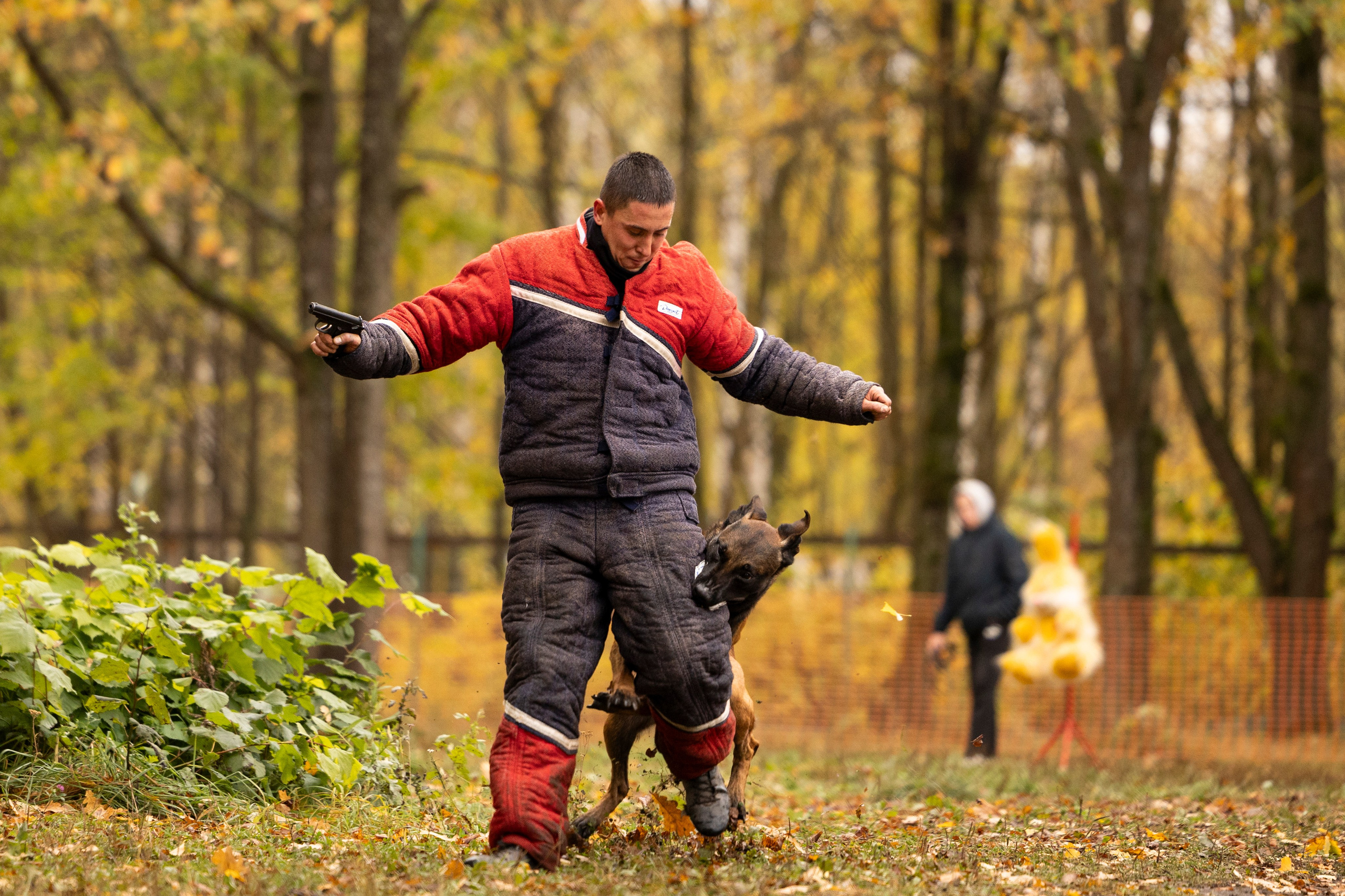 Соревнования по Мондьорингу г. Вологда. Фотограф-анималист Анна Маринич
