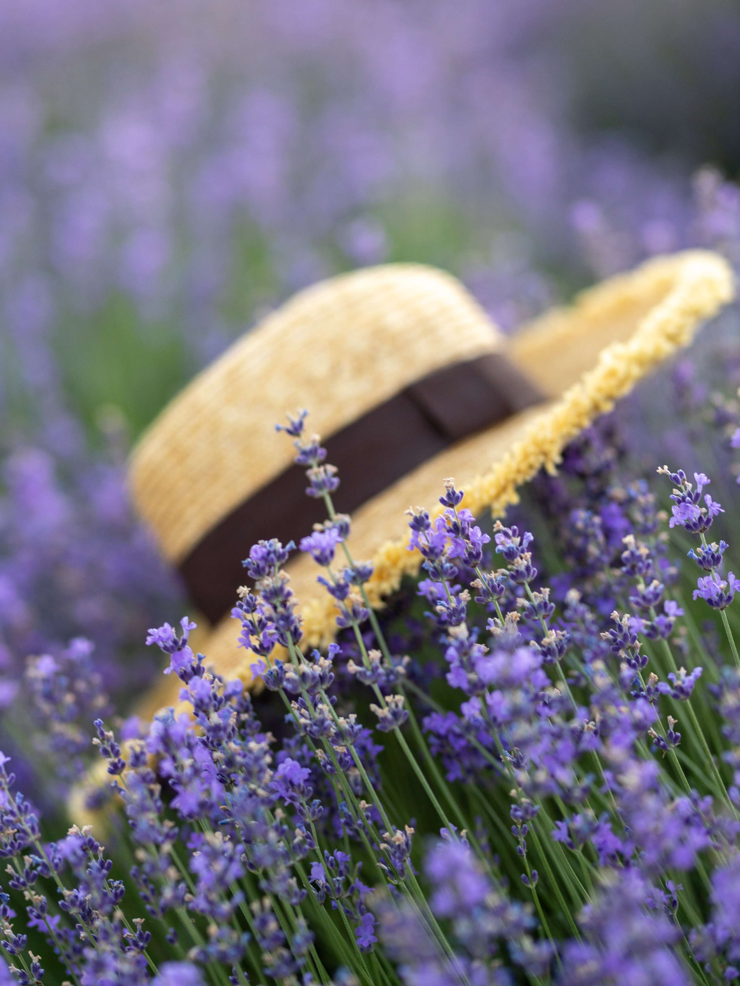 Юля. Фотограф-анималист в Москве Кириллова Татьяна