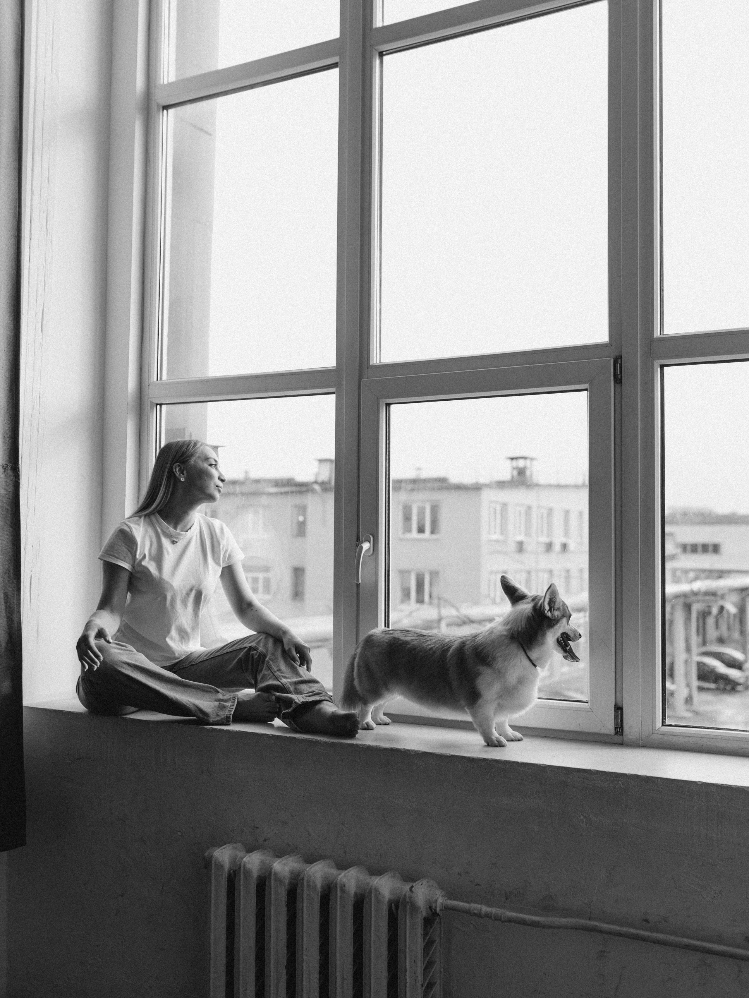 Оливка и Ника. Фотограф-анималист в Москве Кириллова Татьяна