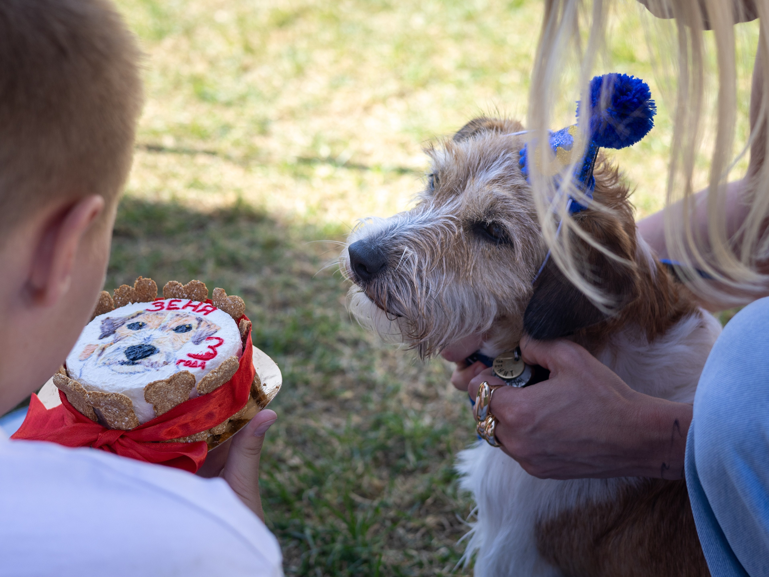 День рождение Зенита. Фотограф-анималист в Москве Кириллова Татьяна