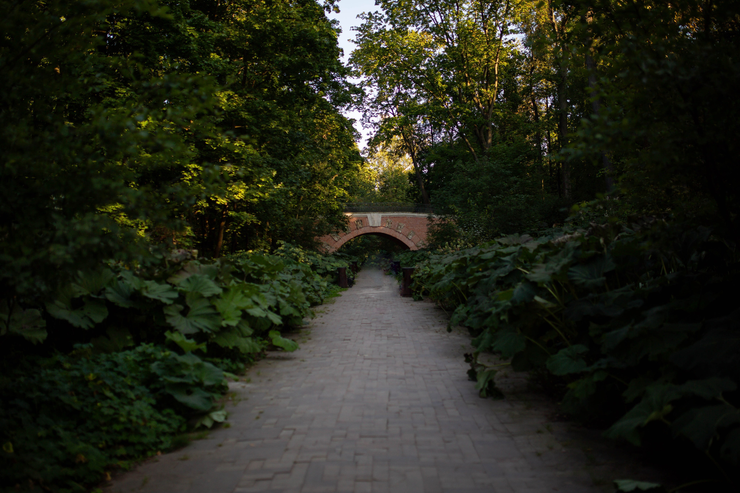 Флора и фауна. Sergey Shapovalov, фотограф, видеограф, графический дизайнер, монтажер