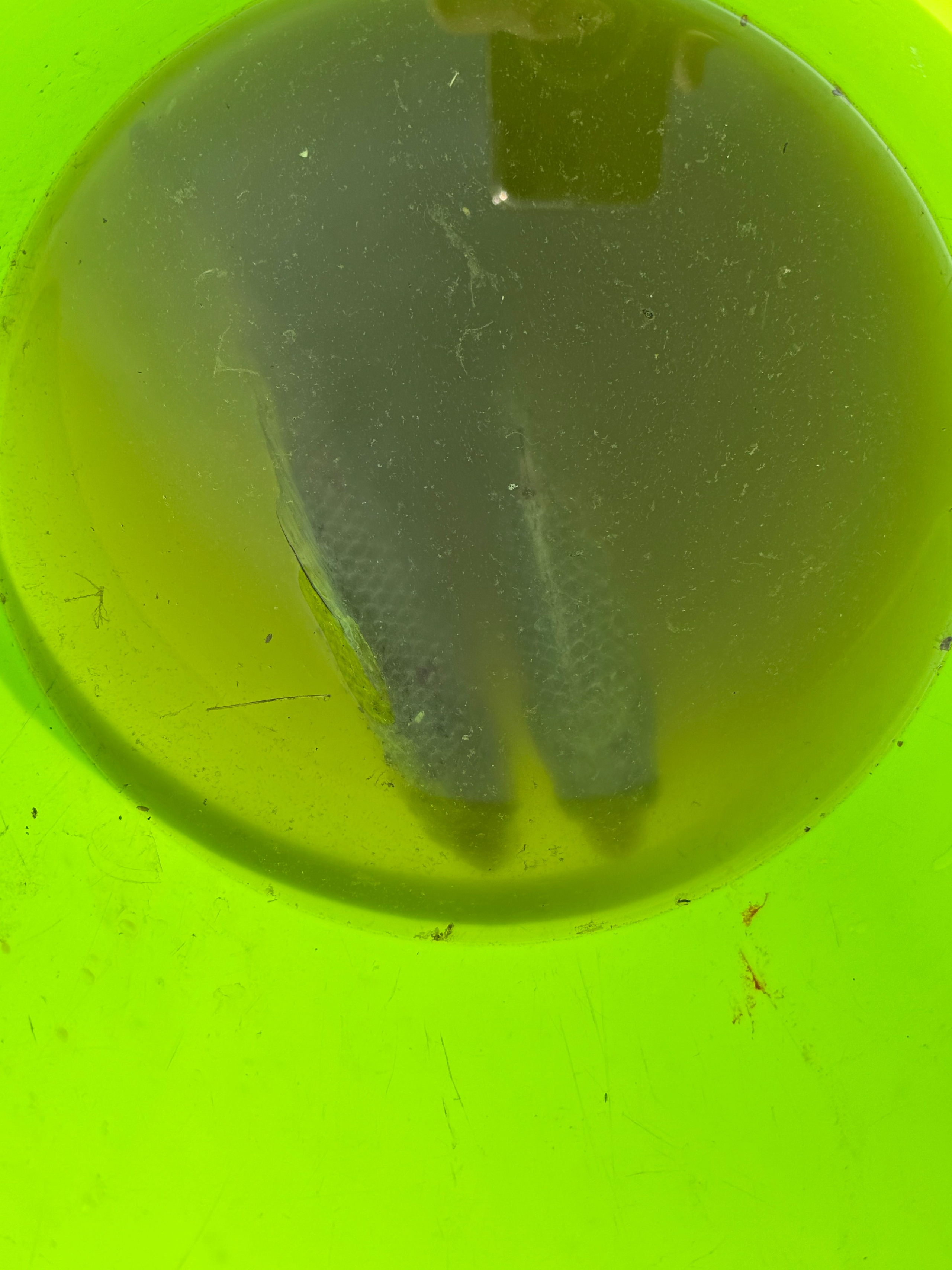 Горячий Ключ (2024-09-22). Собор Отрасли