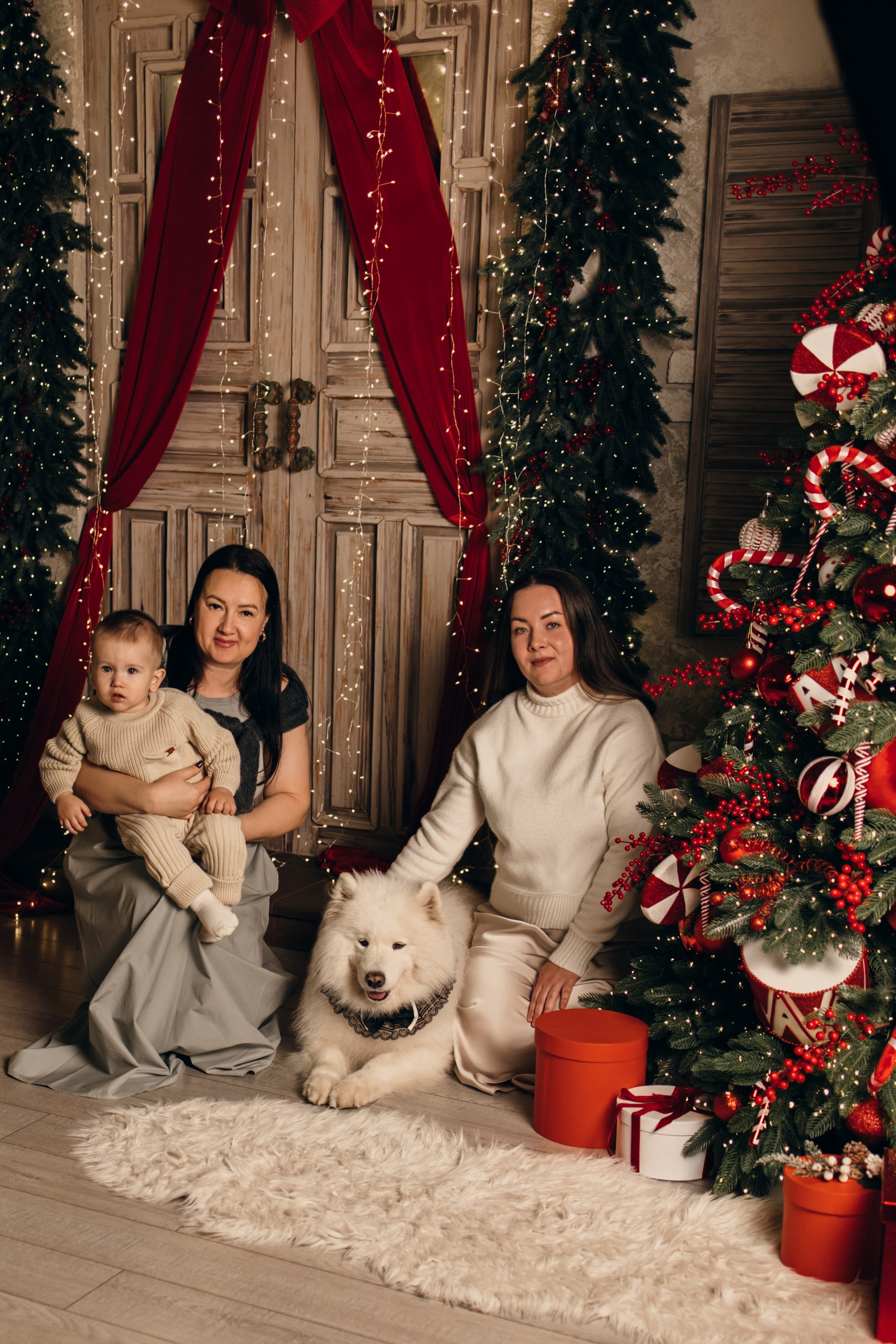 Новогодний самоед. Коновалова Ольга | фотограф в Пензе и Заречном