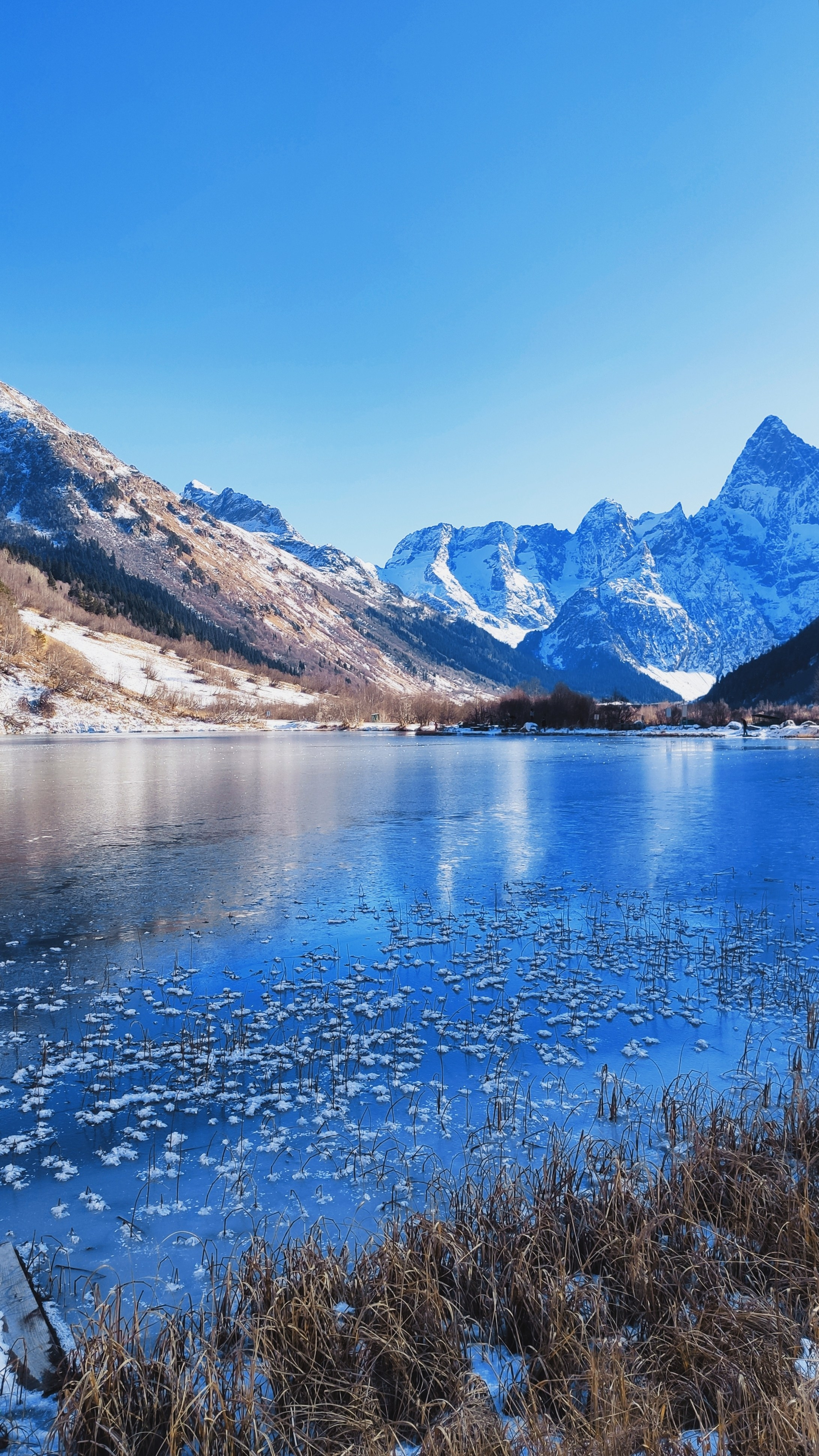 Автор: Екатерина Дмитриева