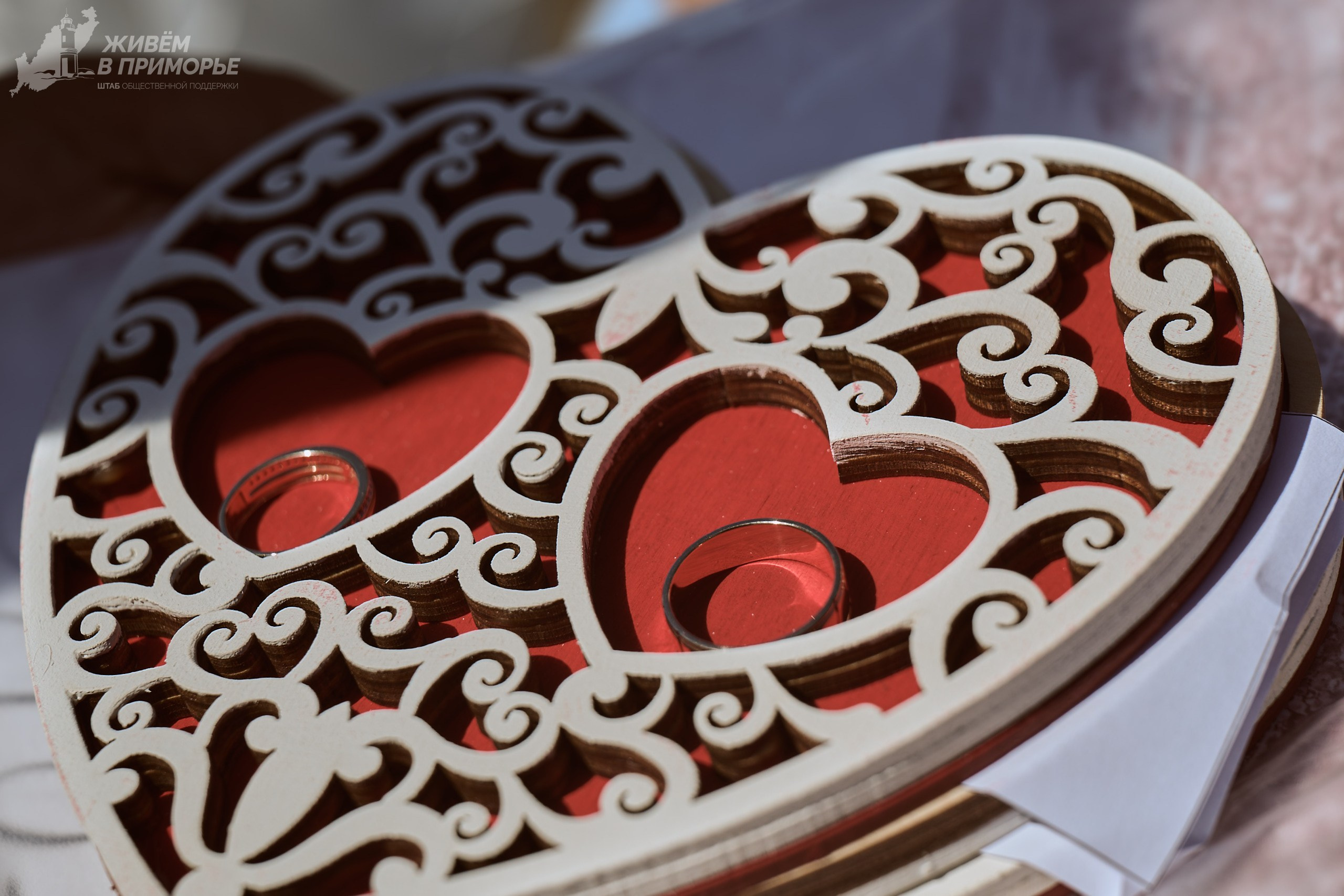 День города 06.07.25. Профессиональный репортажный фотограф Инесса Иминова