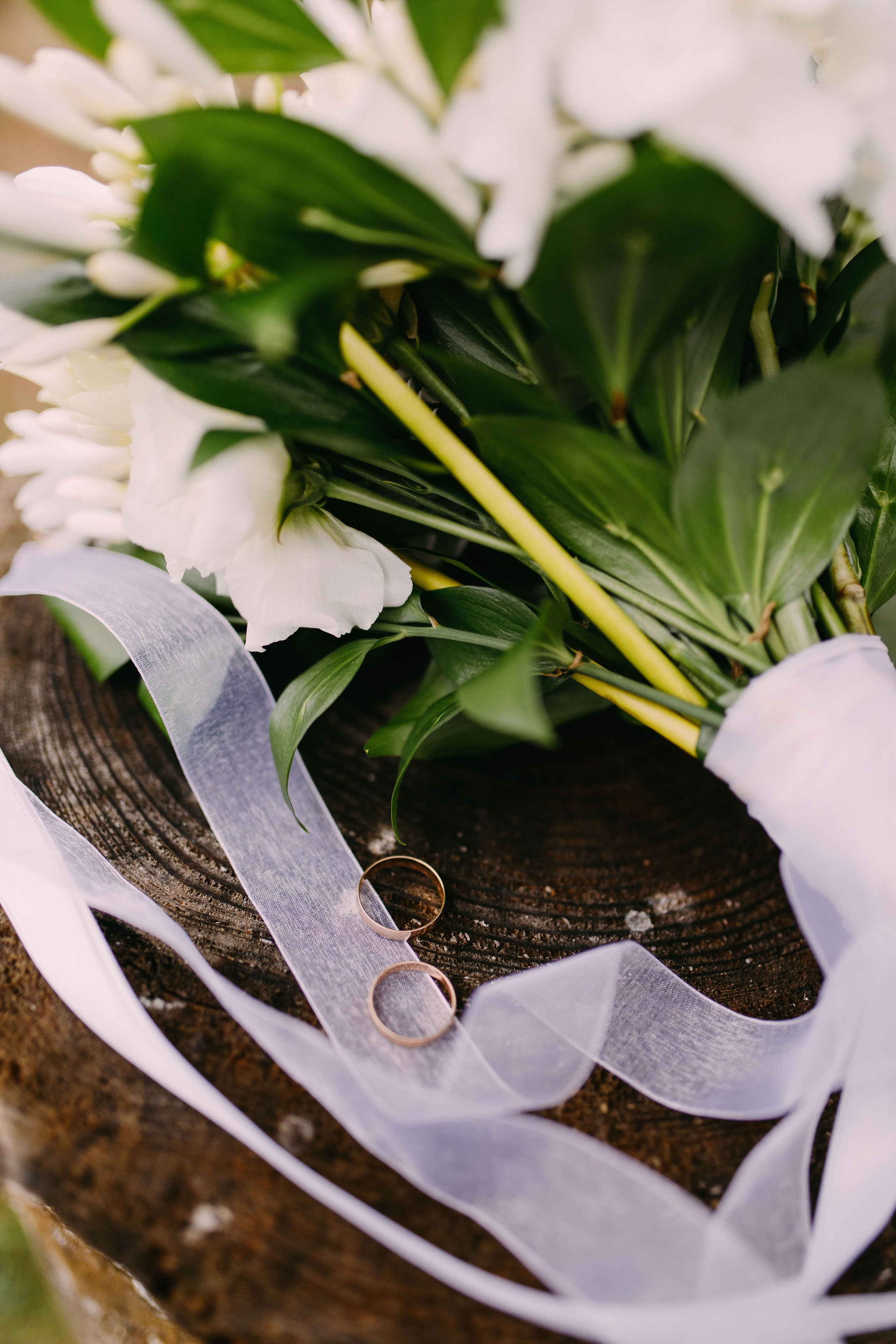 Николай и Екатерина. Фотограф Светлана Голицына