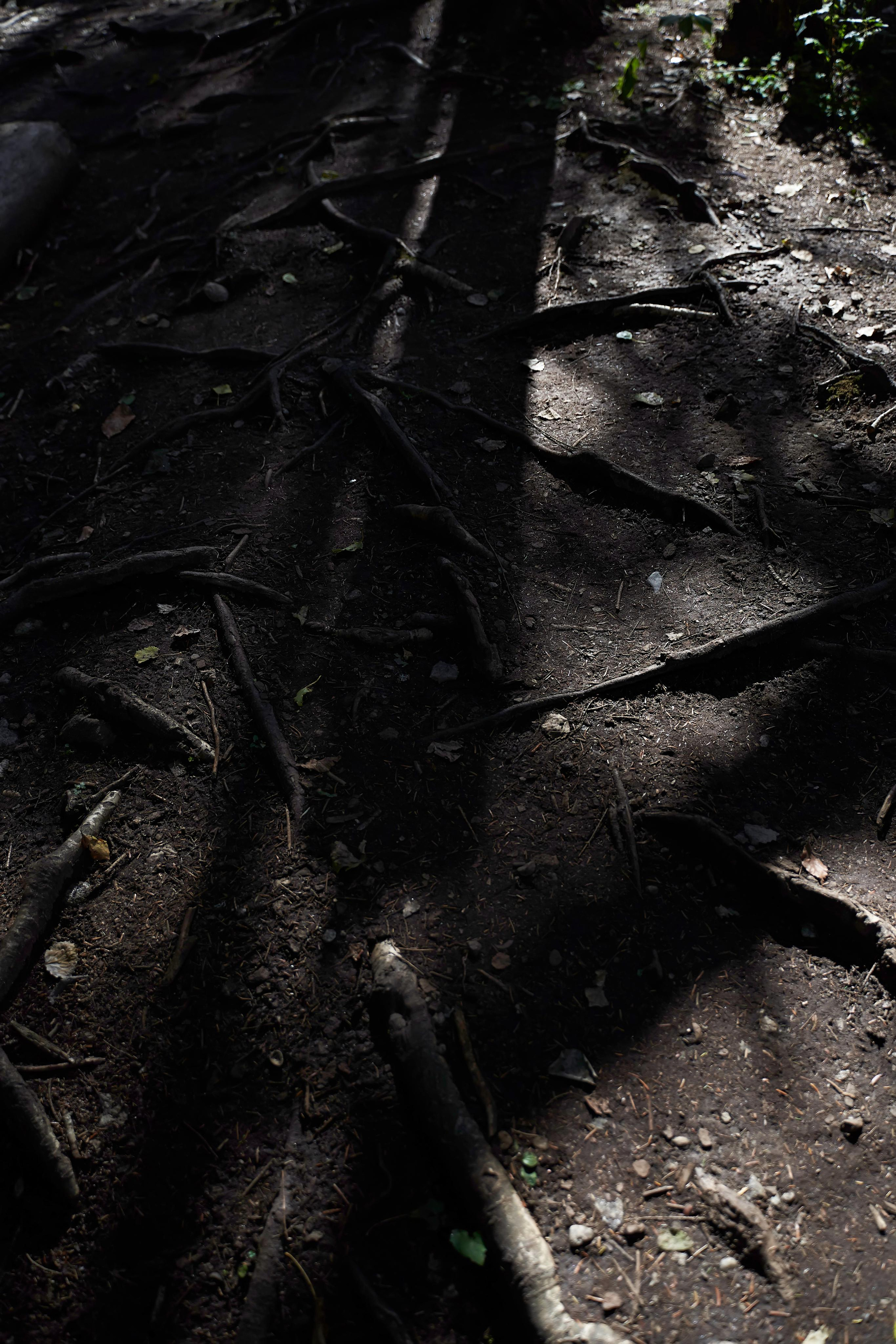 Love Story в Домбае глазами TWINS STUDIO. ТВИНС СТУДИО — лучшие свадебные фотографы и видеографы в Краснодаре