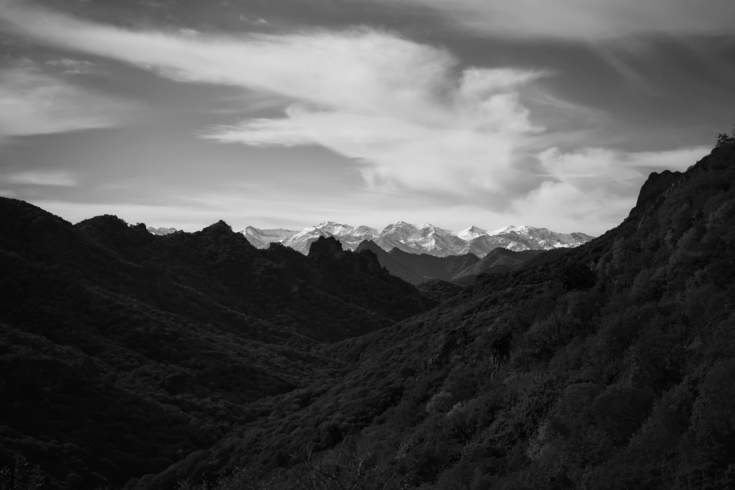 Love Story в Домбае глазами TWINS STUDIO. ТВИНС СТУДИО — лучшие свадебные фотографы и видеографы в Краснодаре