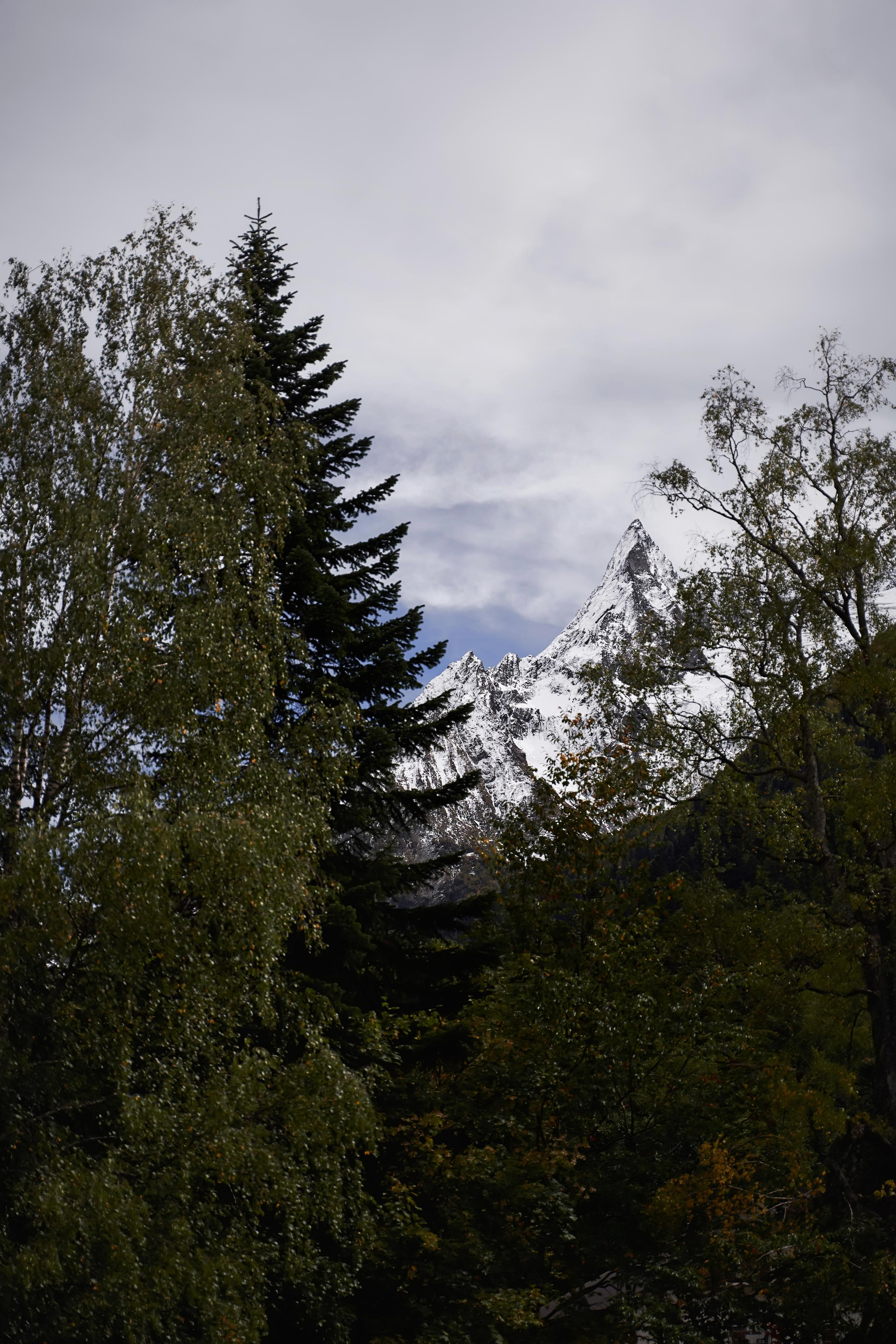 Love Story в Домбае глазами TWINS STUDIO. ТВИНС СТУДИО — лучшие свадебные фотографы и видеографы в Краснодаре