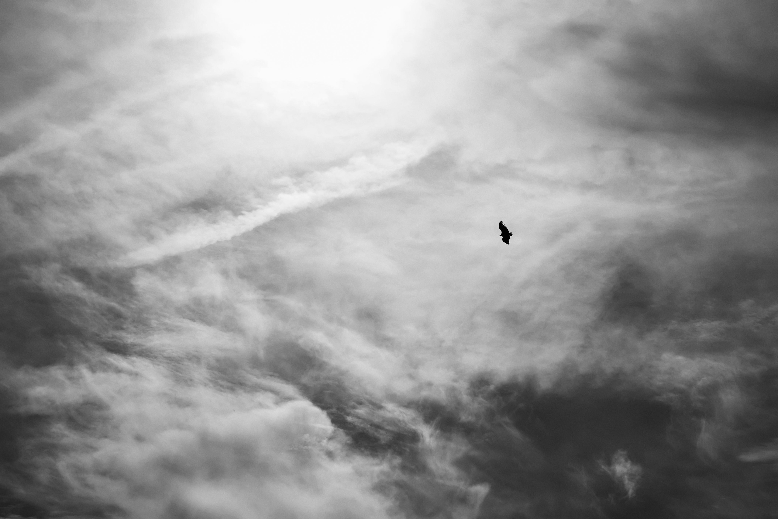 Love Story в Домбае глазами TWINS STUDIO. ТВИНС СТУДИО — лучшие свадебные фотографы и видеографы в Краснодаре