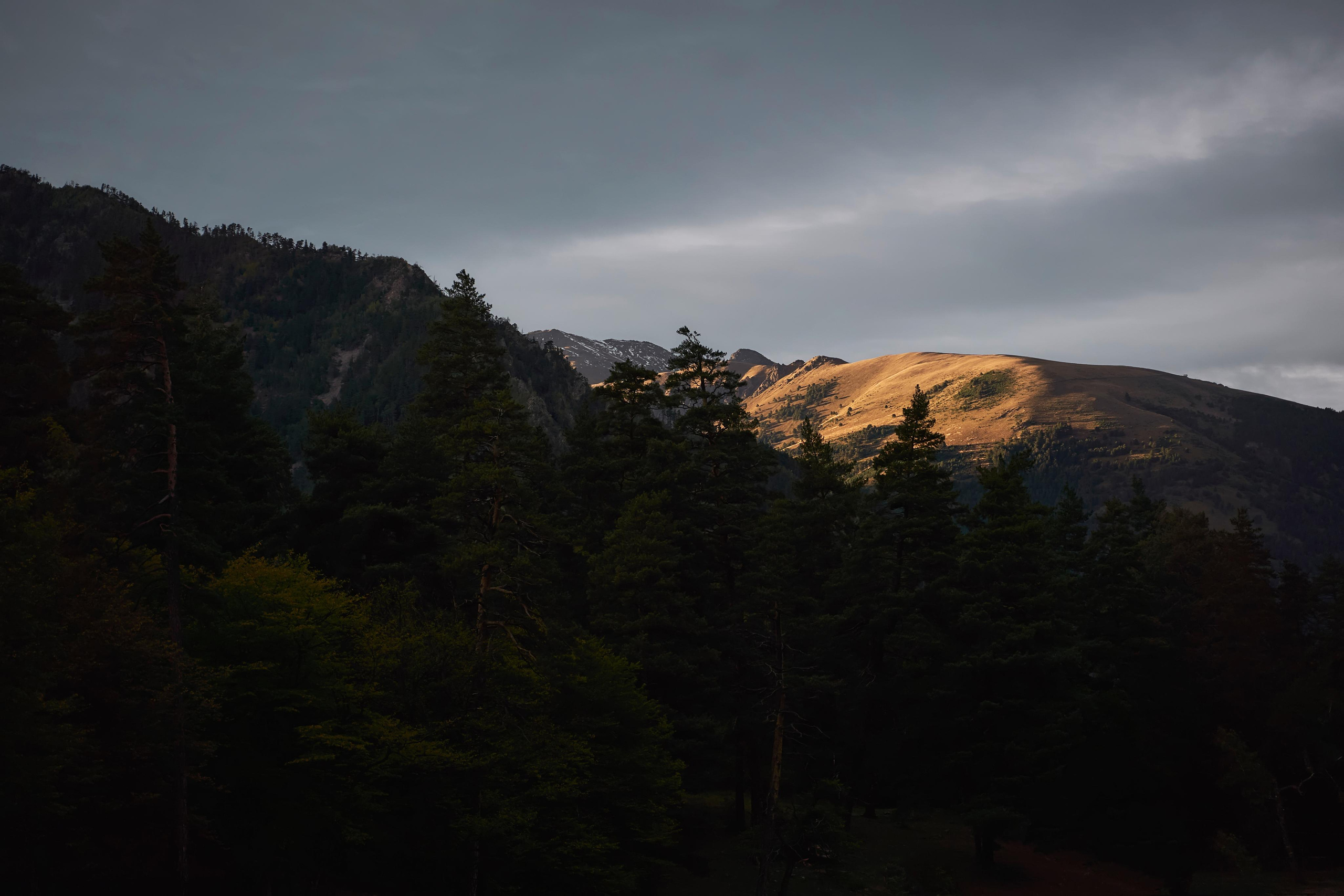 Love Story в Домбае глазами TWINS STUDIO. ТВИНС СТУДИО — лучшие свадебные фотографы и видеографы в Краснодаре