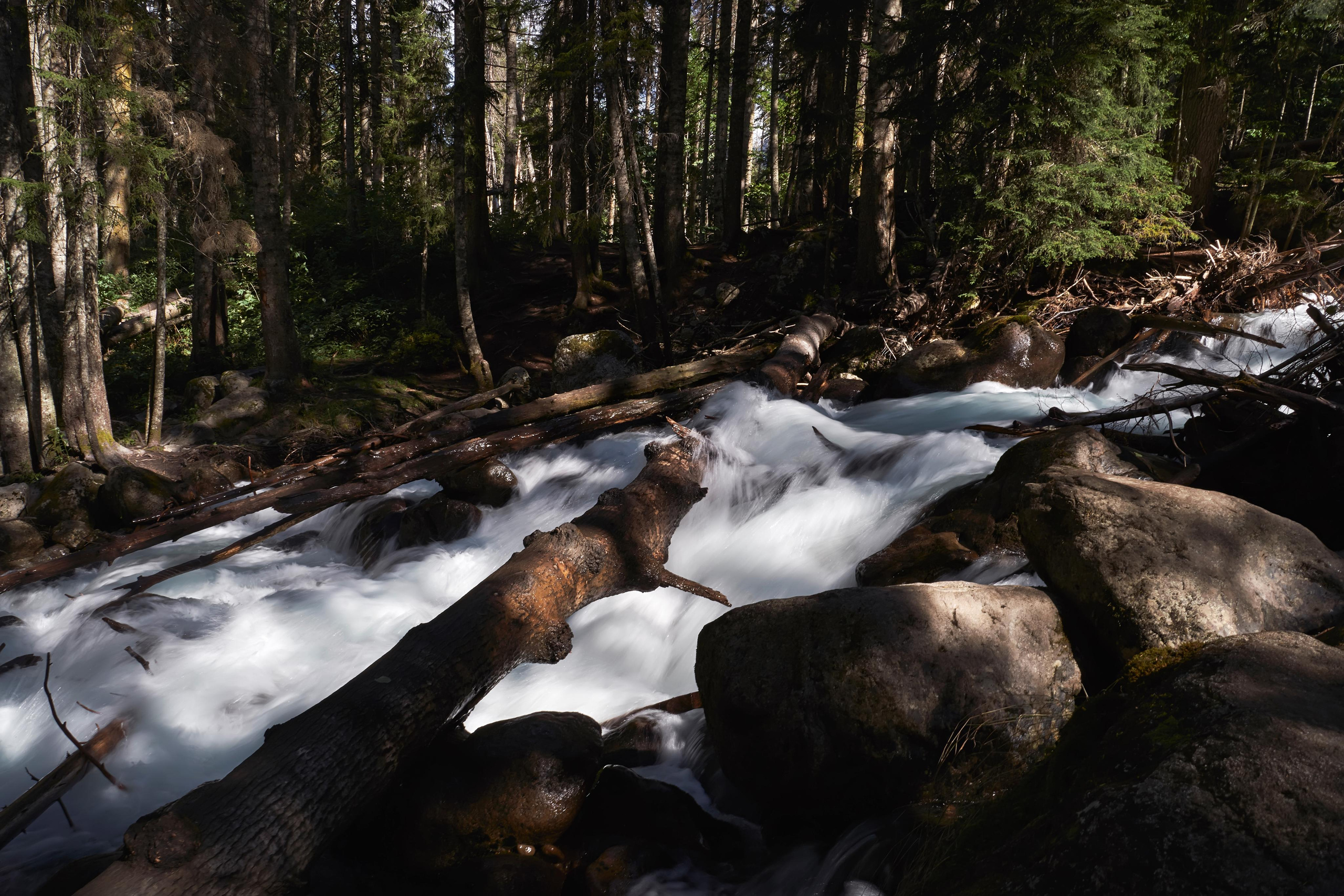 Love Story в Домбае глазами TWINS STUDIO. ТВИНС СТУДИО — лучшие свадебные фотографы и видеографы в Краснодаре