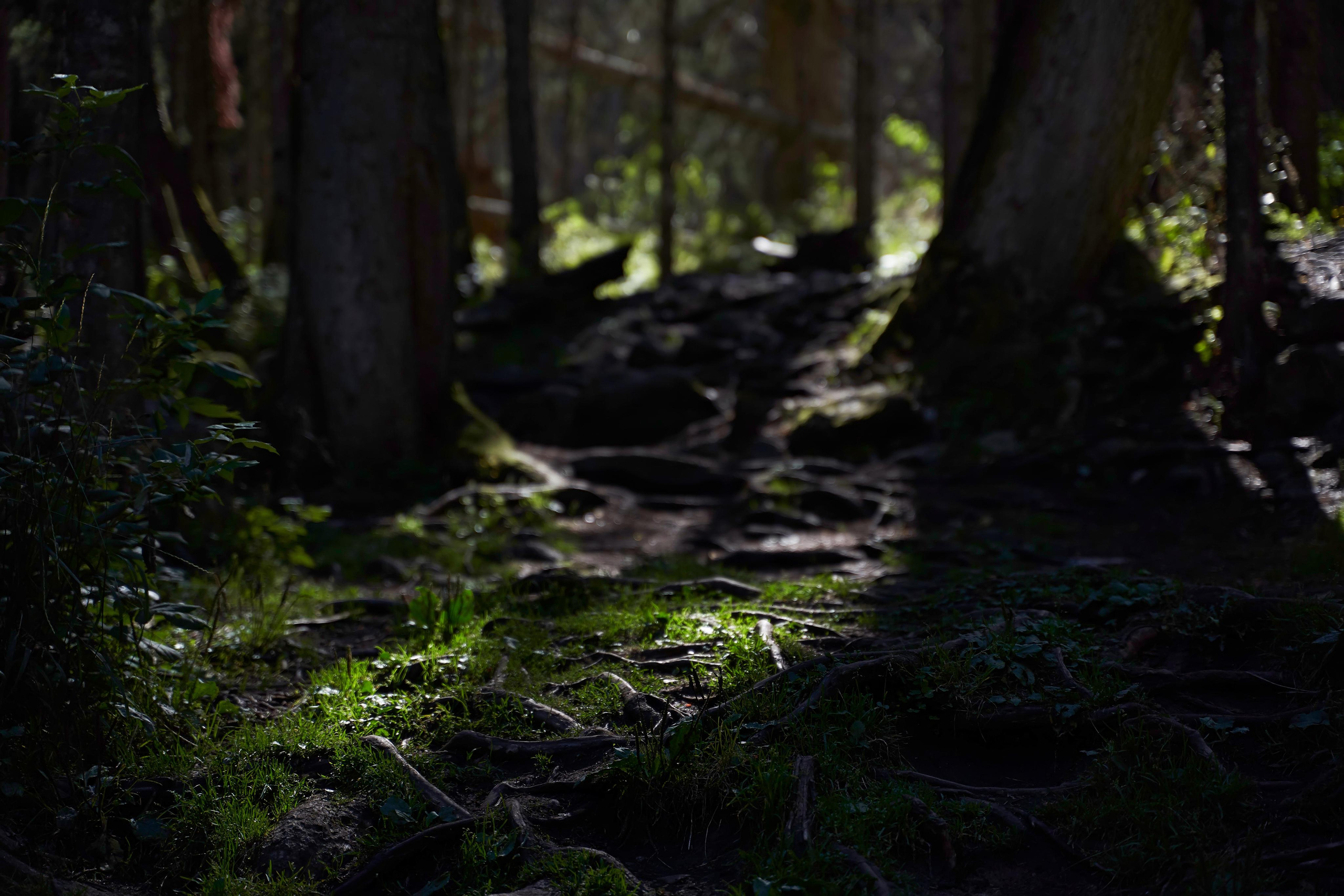 Love Story в Домбае глазами TWINS STUDIO. ТВИНС СТУДИО — лучшие свадебные фотографы и видеографы в Краснодаре