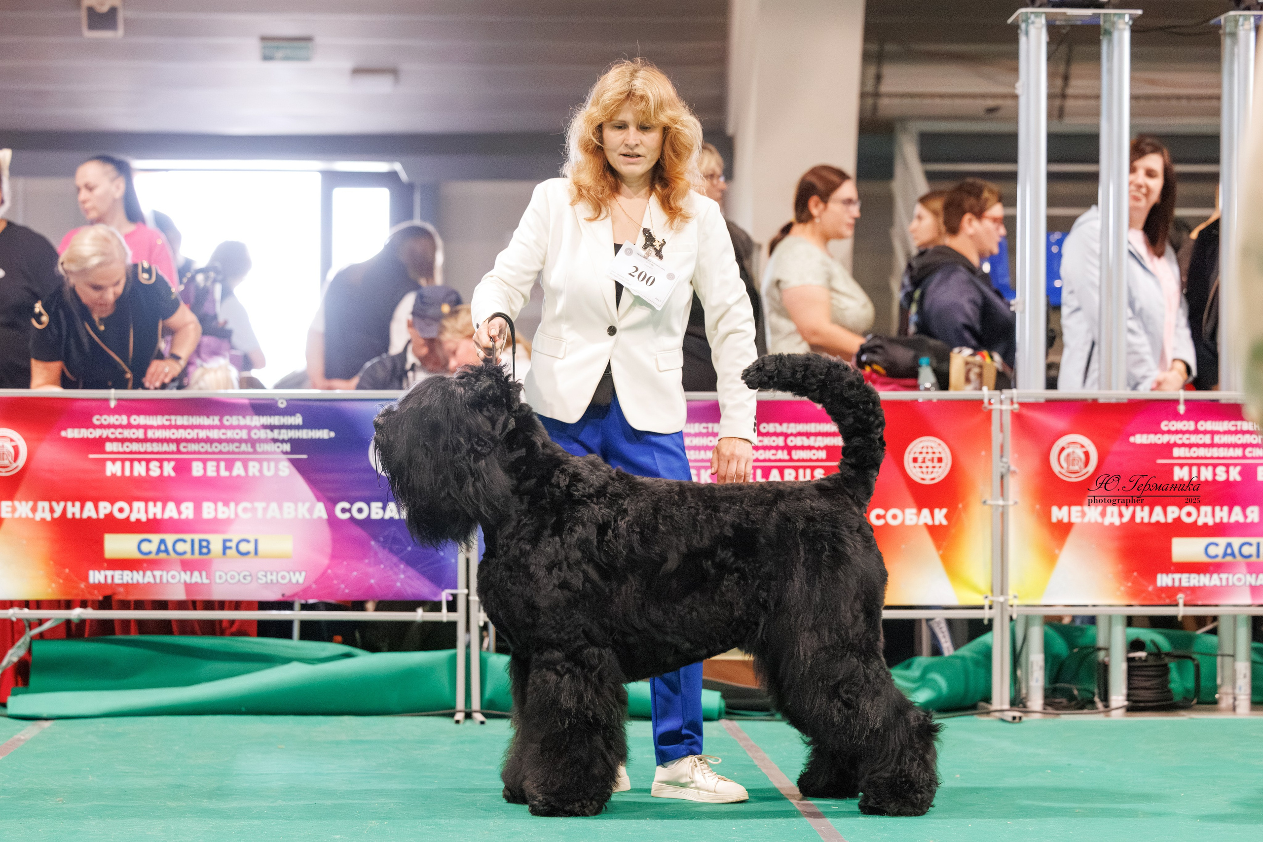 Минск 31.05-1.06.2025. Фотограф-анималист Юлия Германика