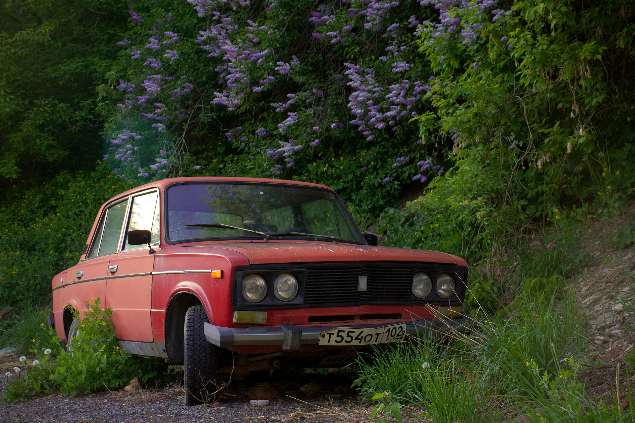 Ранис Сирень. Pupov.png