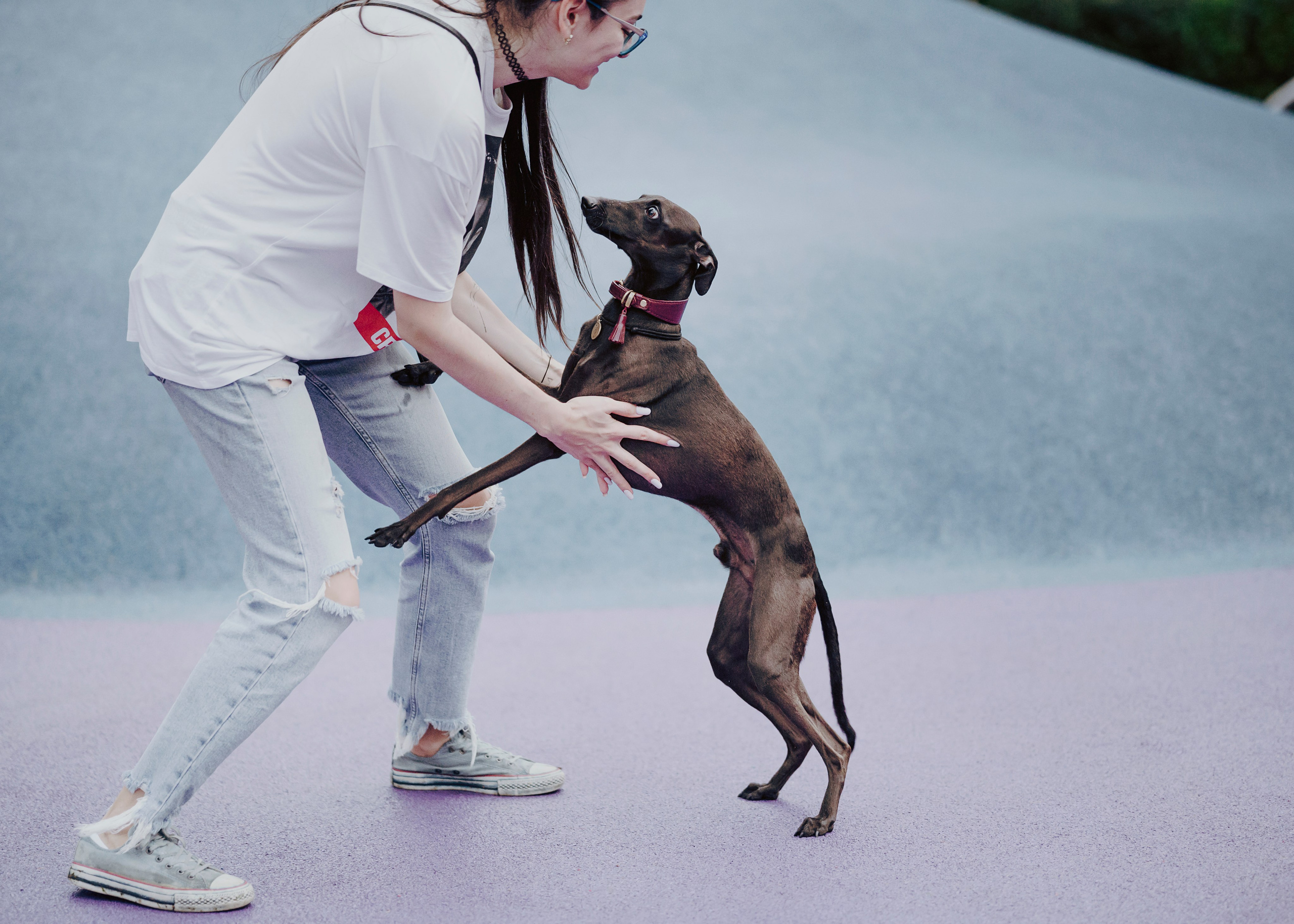 Дофи. Фотограф- анималист Александра Матвеева