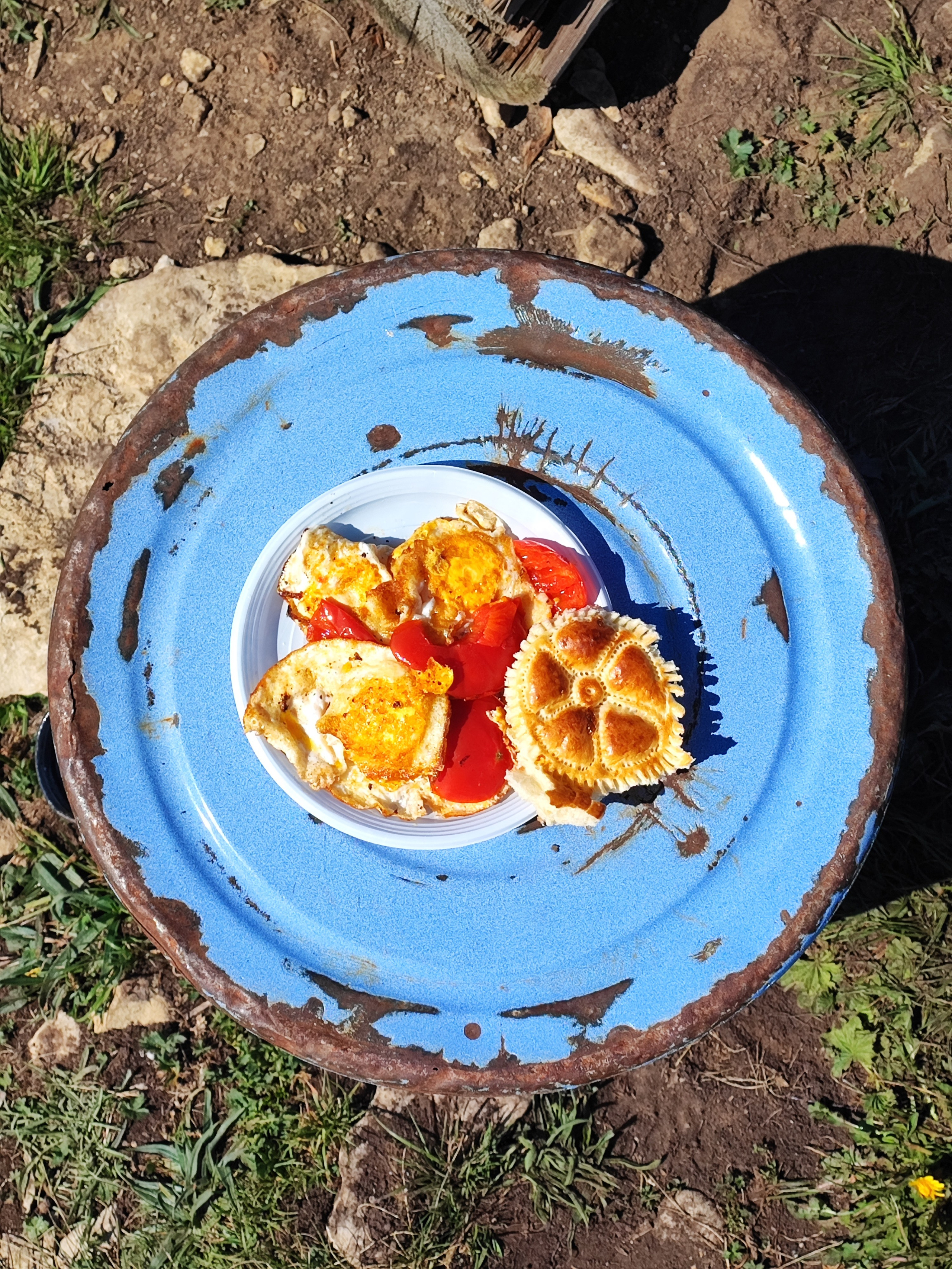 Намобилкус кавказский. Репортажный фотограф Алексей Пирязев