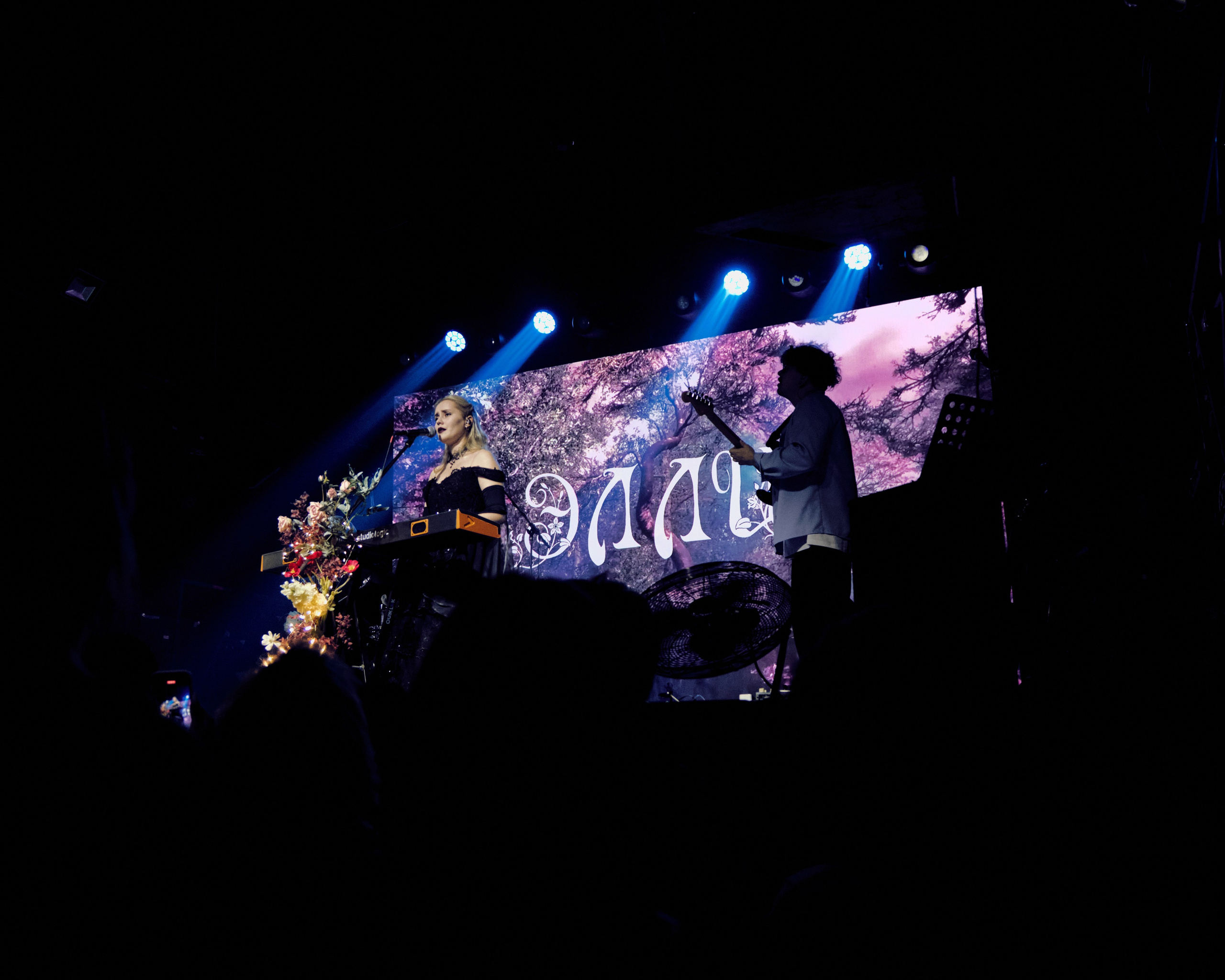 КОНЦЕРТЫ. ФОТОГРАФ В ЕКАТЕРИНБУРГЕ НАСТЯ MUSE