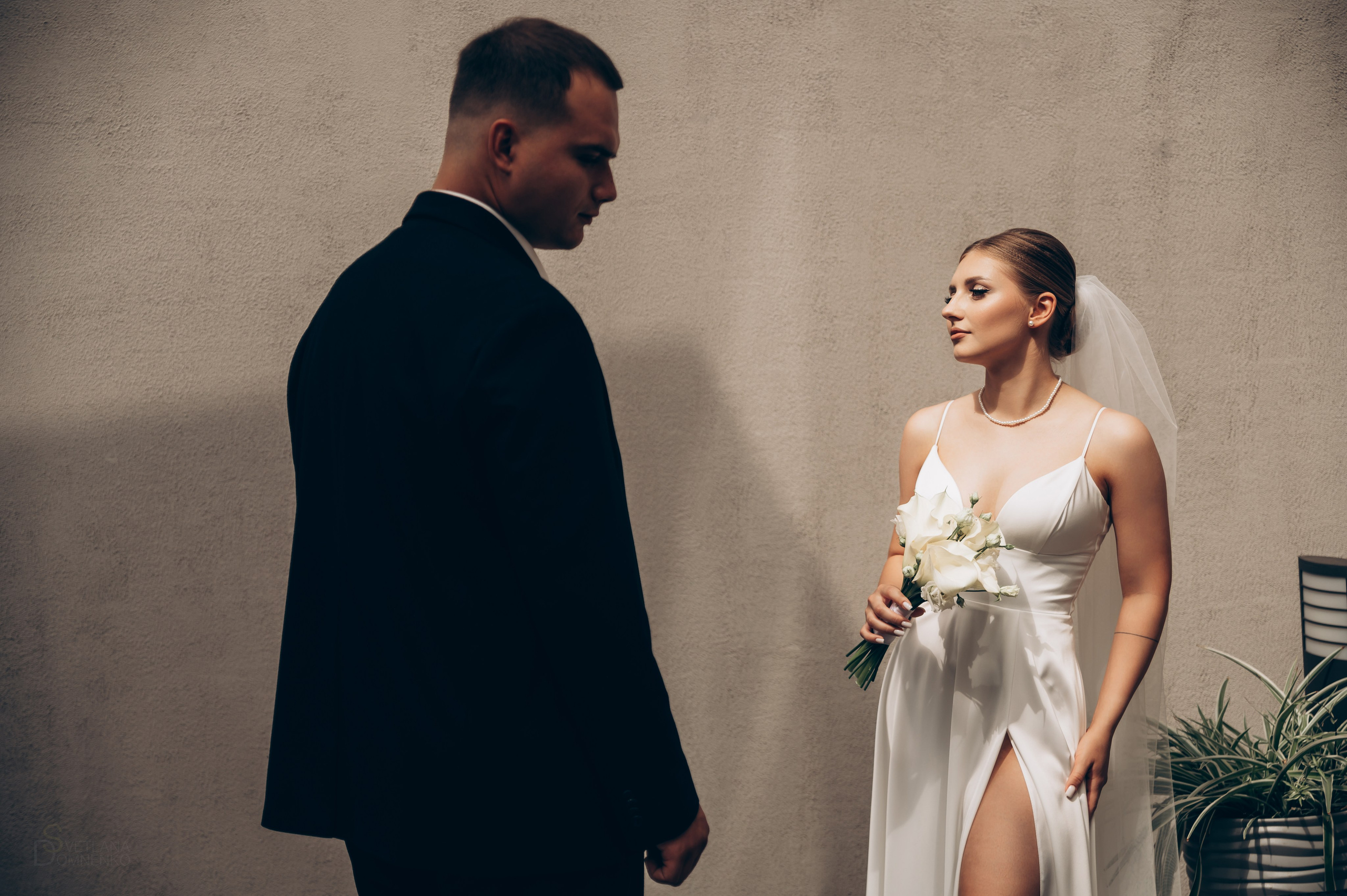 V & E. Фотограф Тольятти, Самара Домненко Светлана