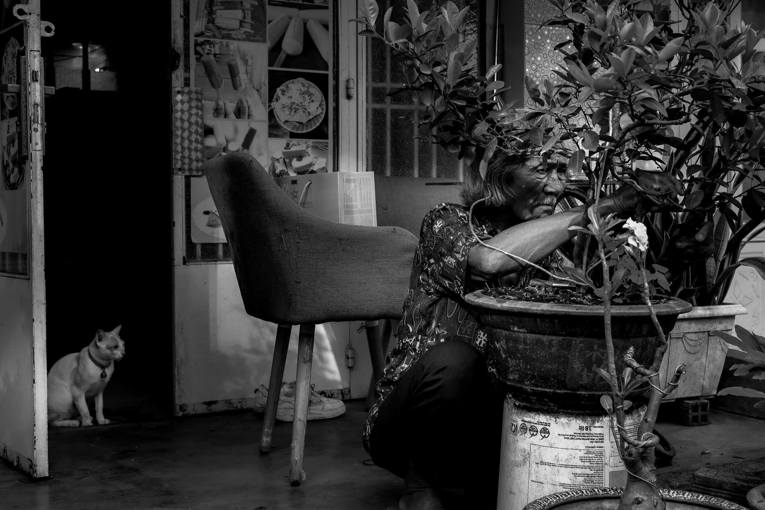 Vietnam, 2026. Арт-фотограф г. Москва