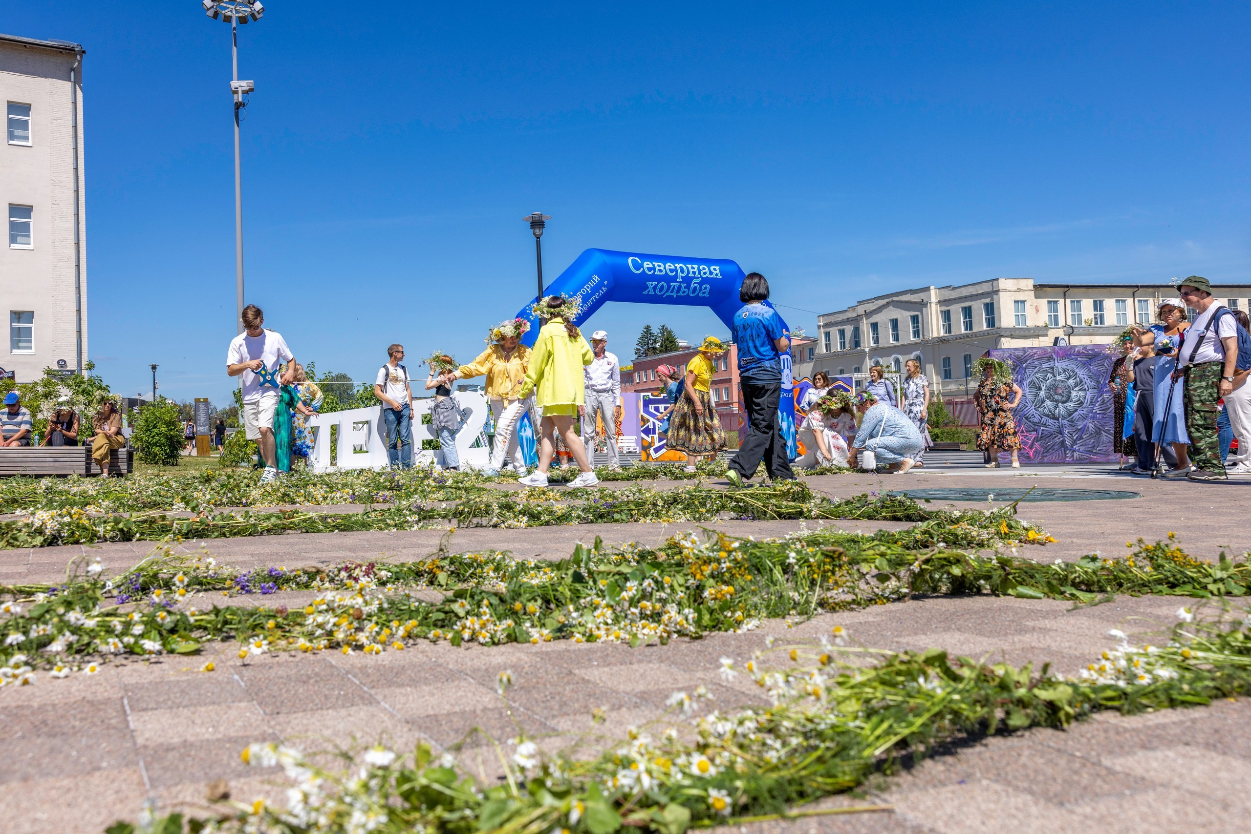 Фестиваль «Ромашковый хоровод». Северная ходьба. Фотограф в Туле Крупский АнДРей. Фотостудия «КАДР71» в Туле