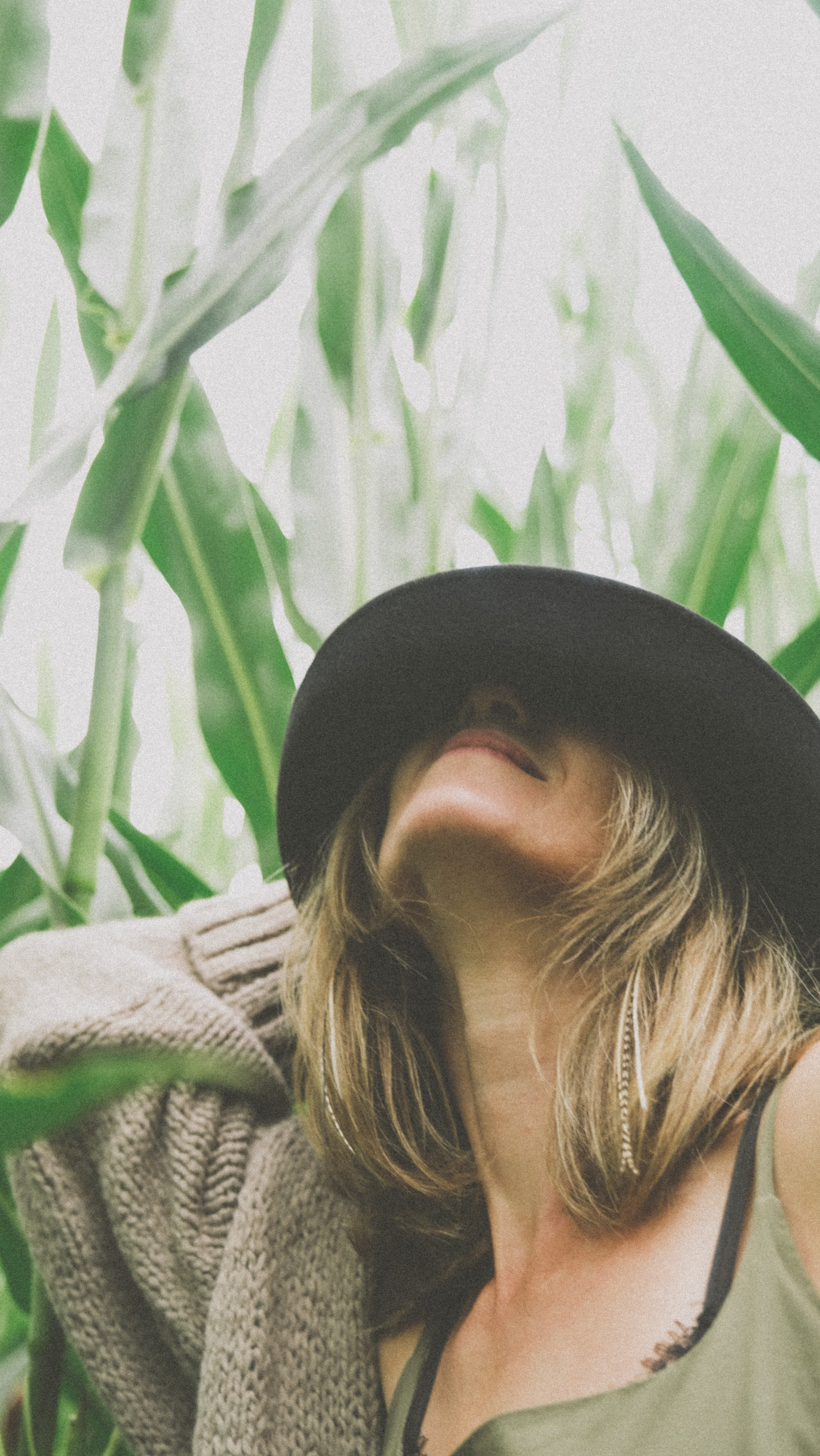 В кукурузном поле. Семейный фотограф Москва и Домодедово Ольга Игнатова