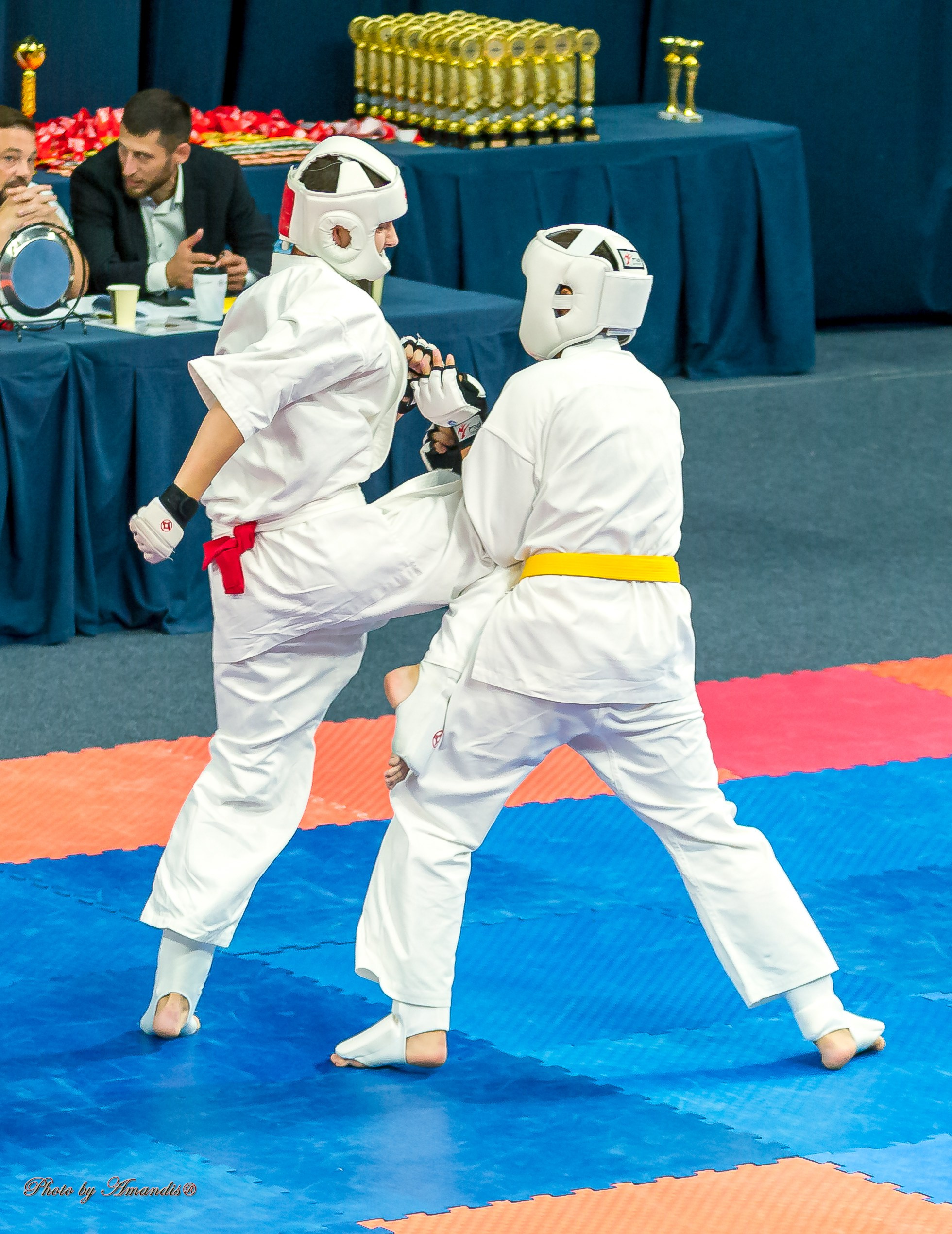 Первенство Московской области по Киокушин в СК «Жаворонки». Репортажная съемка в Москве и области. Анималистика