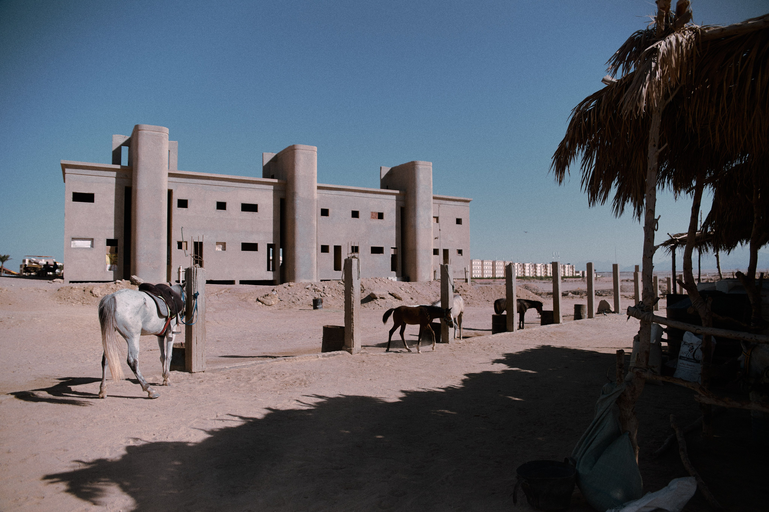 Улица горизонтальная. Jorgis — фотограф в Хургаде / обучение фотографии