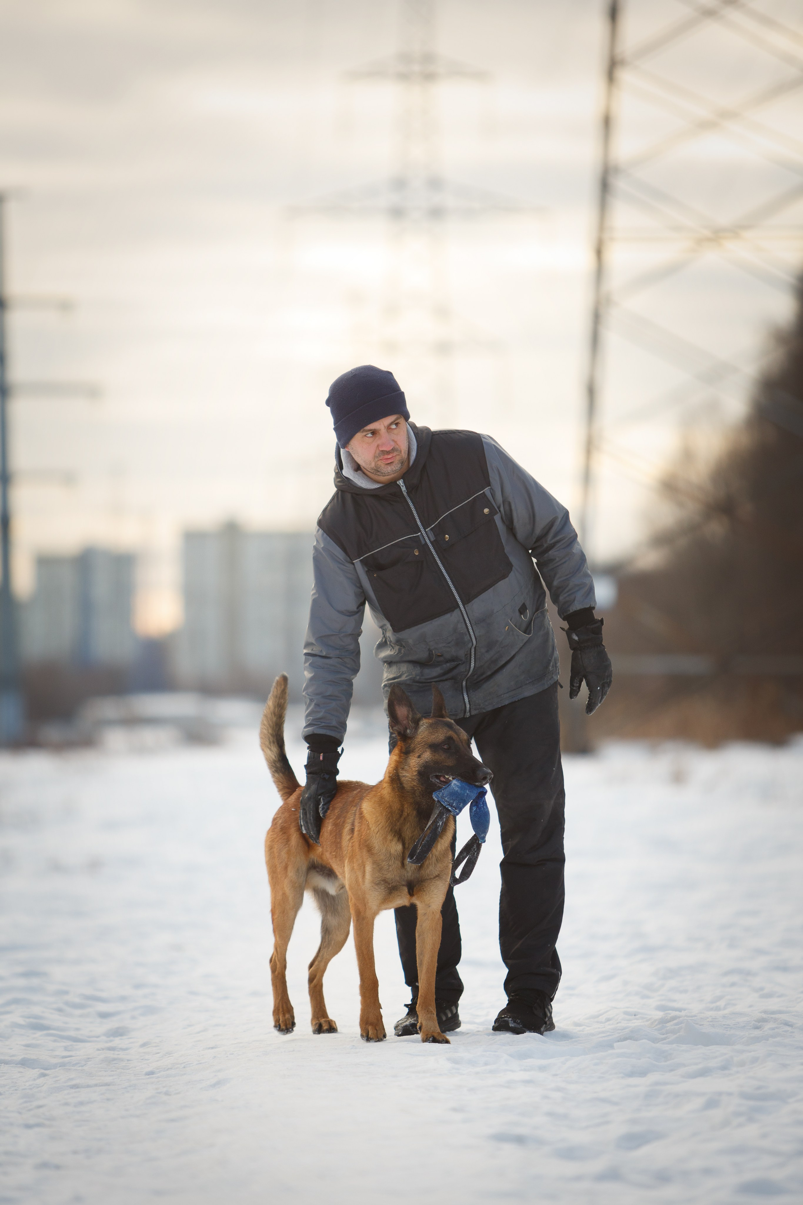 Драгон. Фотограф-анималист в Москве, МО и Владимире
