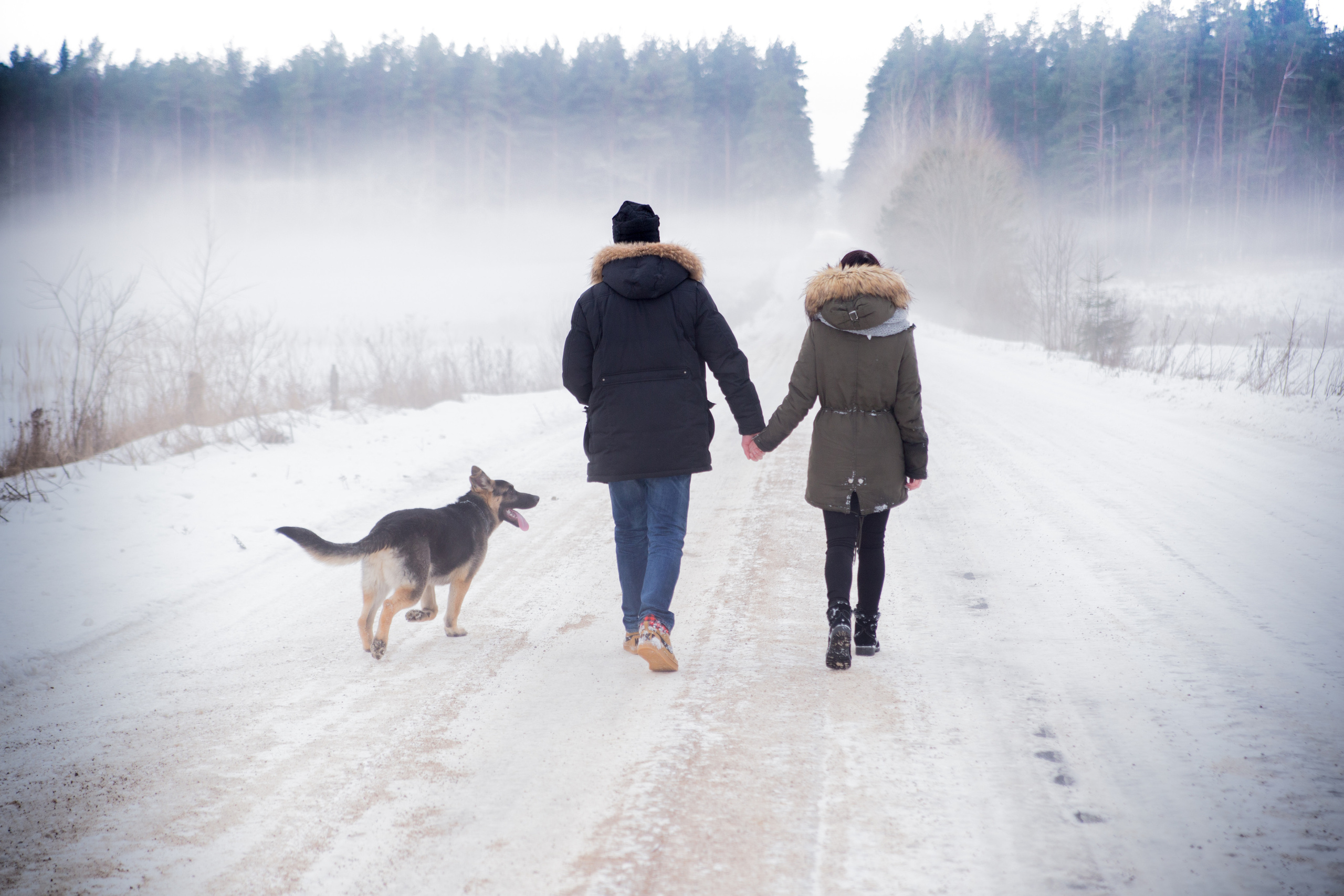 Фото прогулки. ДЕТСКИЙ И СЕМЕЙНЫЙ ФОТОГРАФ в Сосново, Ленинградской области и Спб