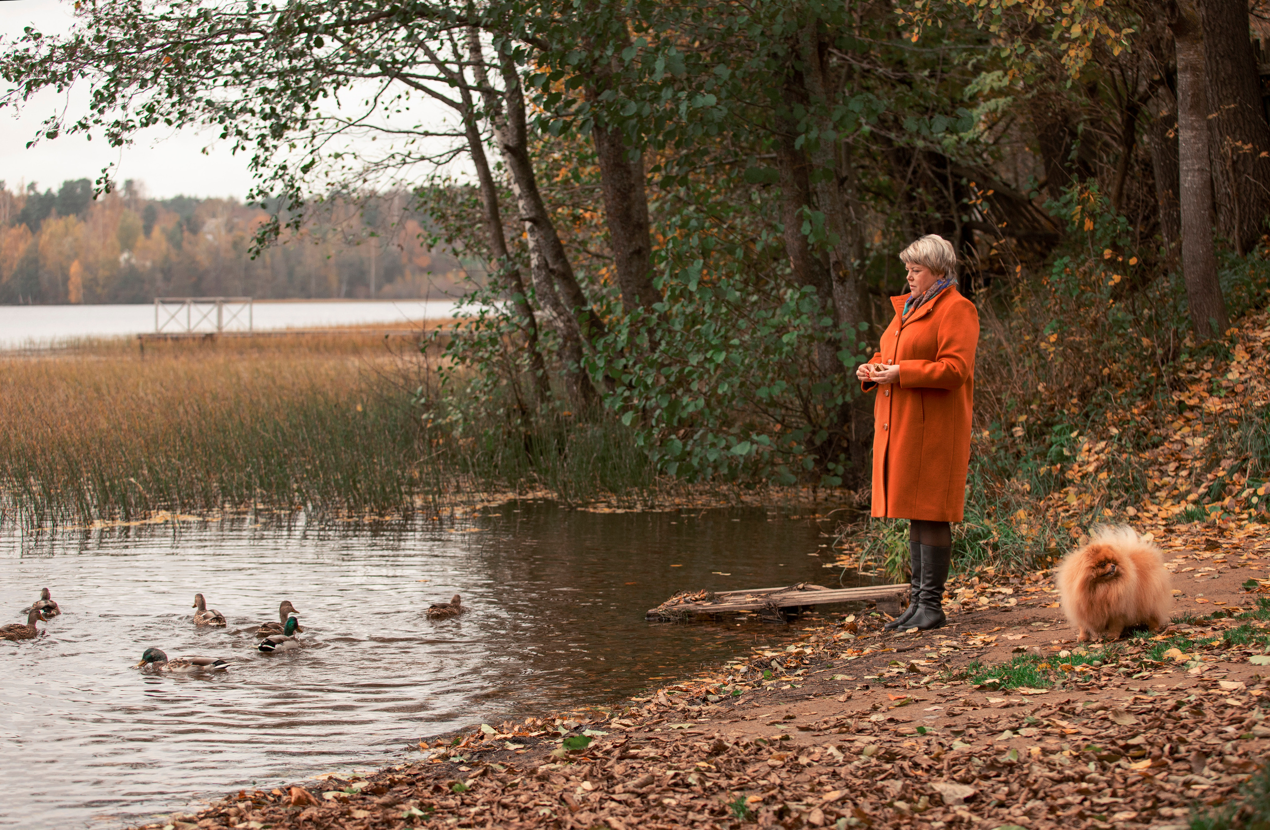 Фото прогулки. ДЕТСКИЙ И СЕМЕЙНЫЙ ФОТОГРАФ в Сосново, Ленинградской области и Спб