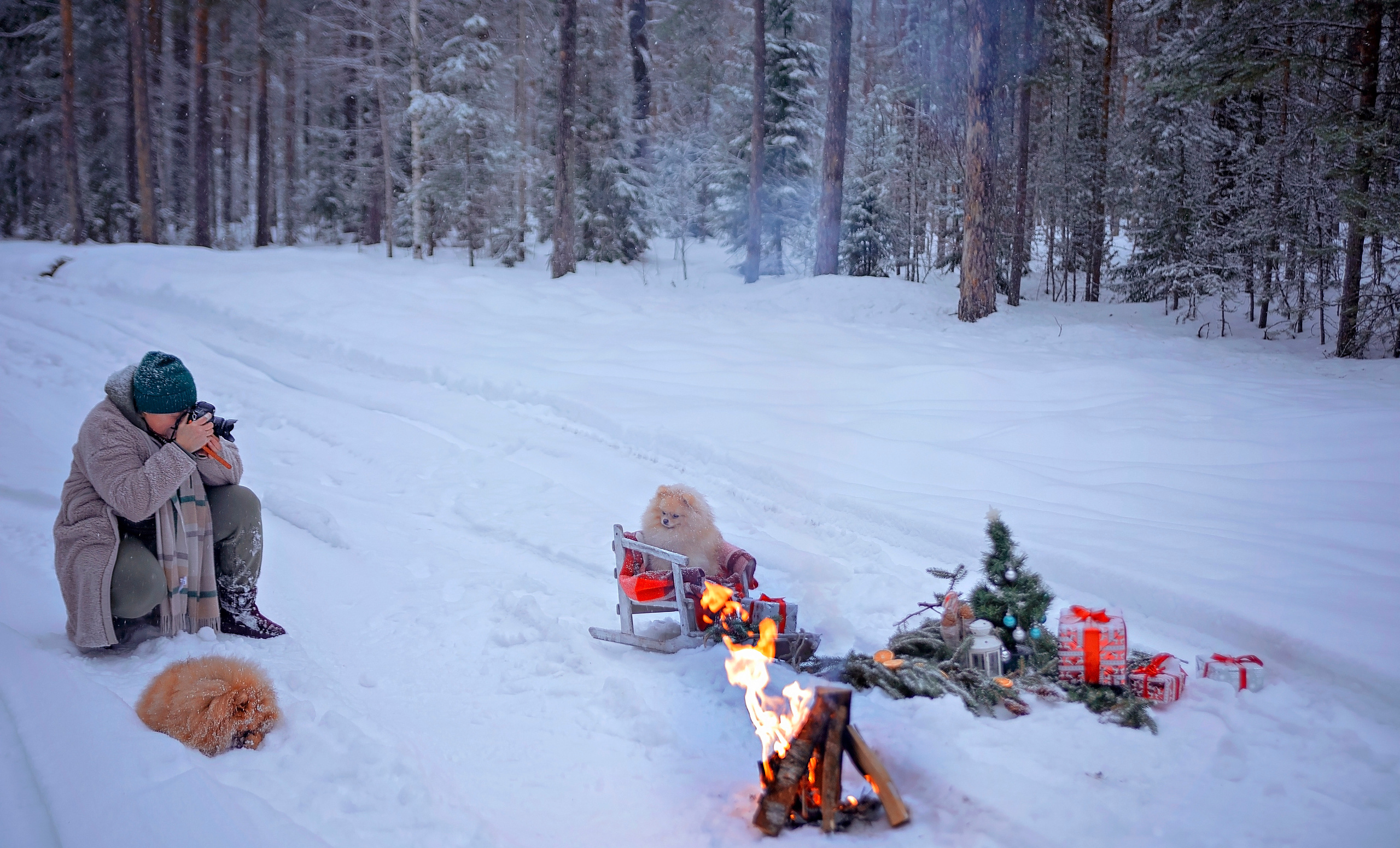 Прогулки в лесу. ДЕТСКИЙ И СЕМЕЙНЫЙ ФОТОГРАФ в Сосново, Ленинградской области и Спб