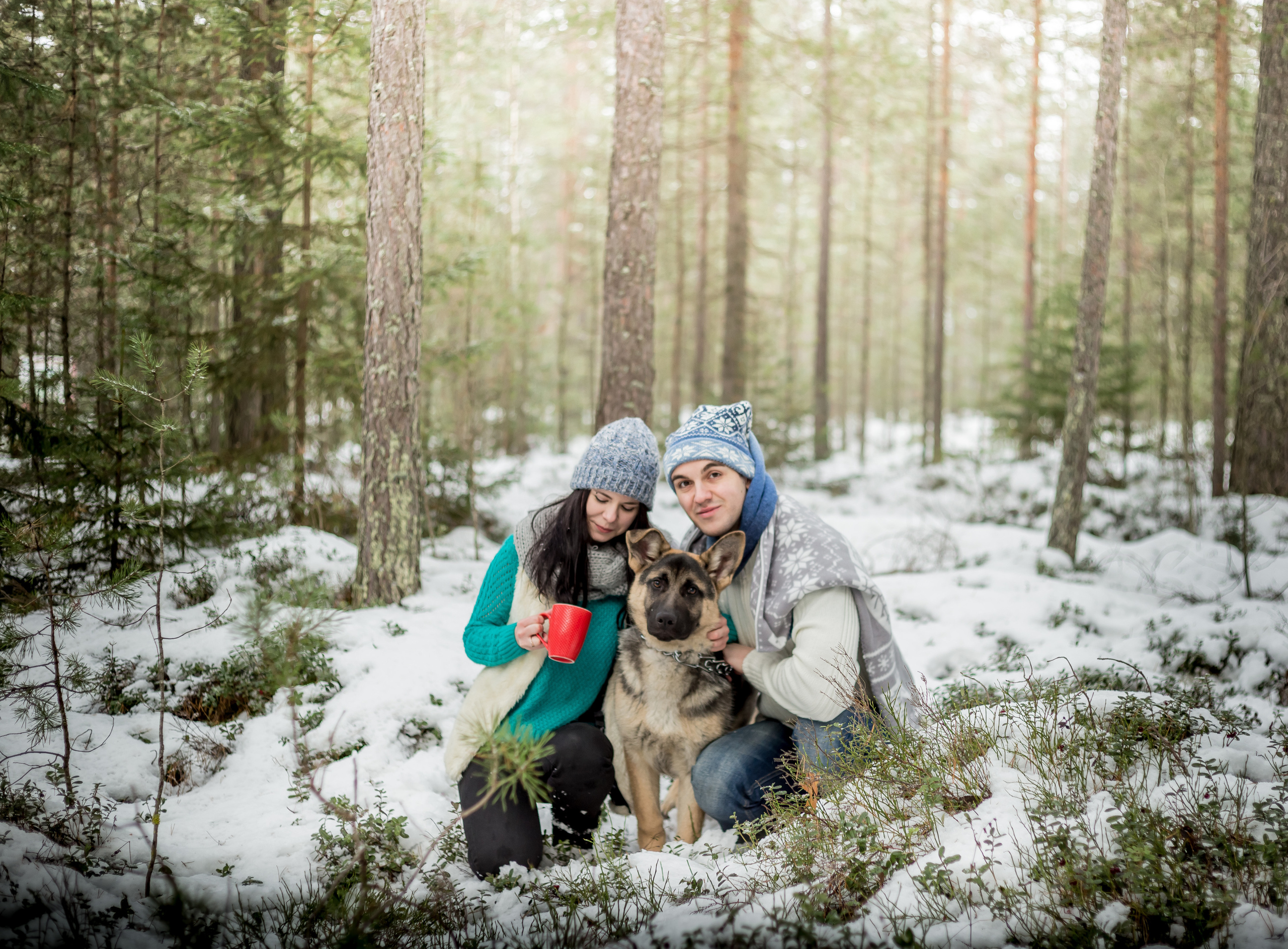 ДЕТСКИЙ И СЕМЕЙНЫЙ ФОТОГРАФ в Сосново, Ленинградской области и Спб