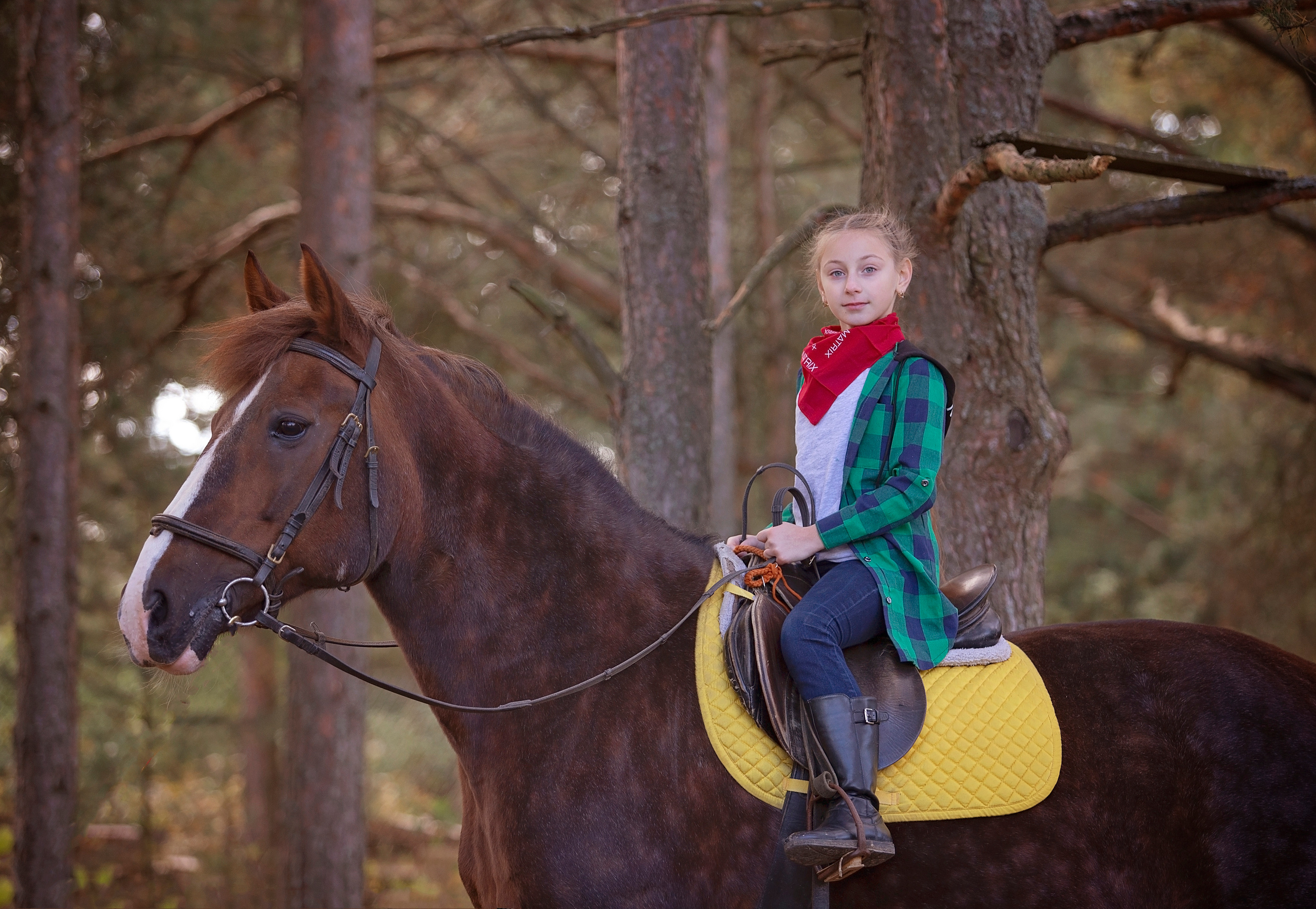 Фотосессии с лошадьми. ДЕТСКИЙ И СЕМЕЙНЫЙ ФОТОГРАФ в Сосново, Ленинградской области и Спб