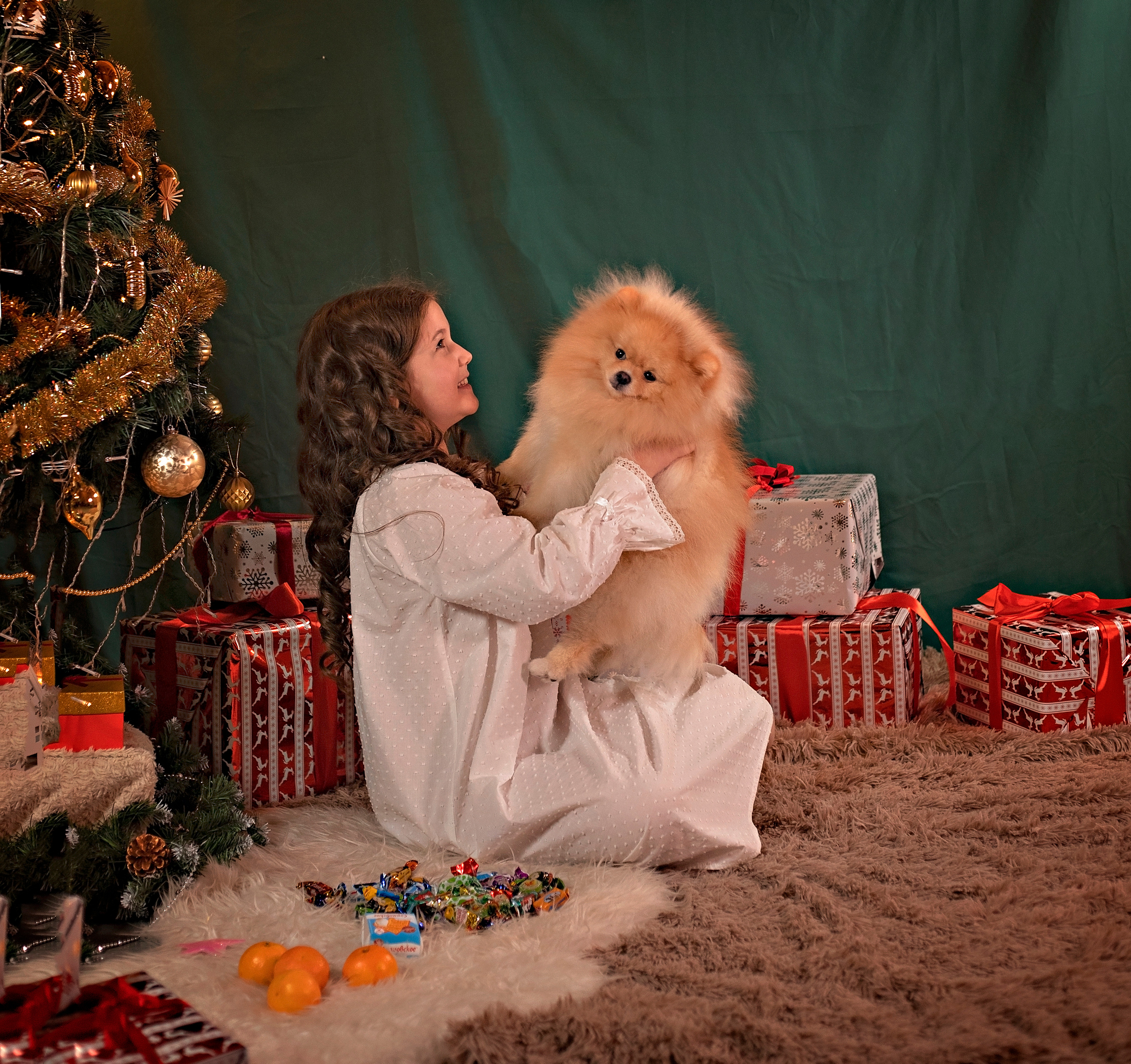 Сказка: Новогоднее чудо. ДЕТСКИЙ И СЕМЕЙНЫЙ ФОТОГРАФ в Сосново, Ленинградской области и Спб