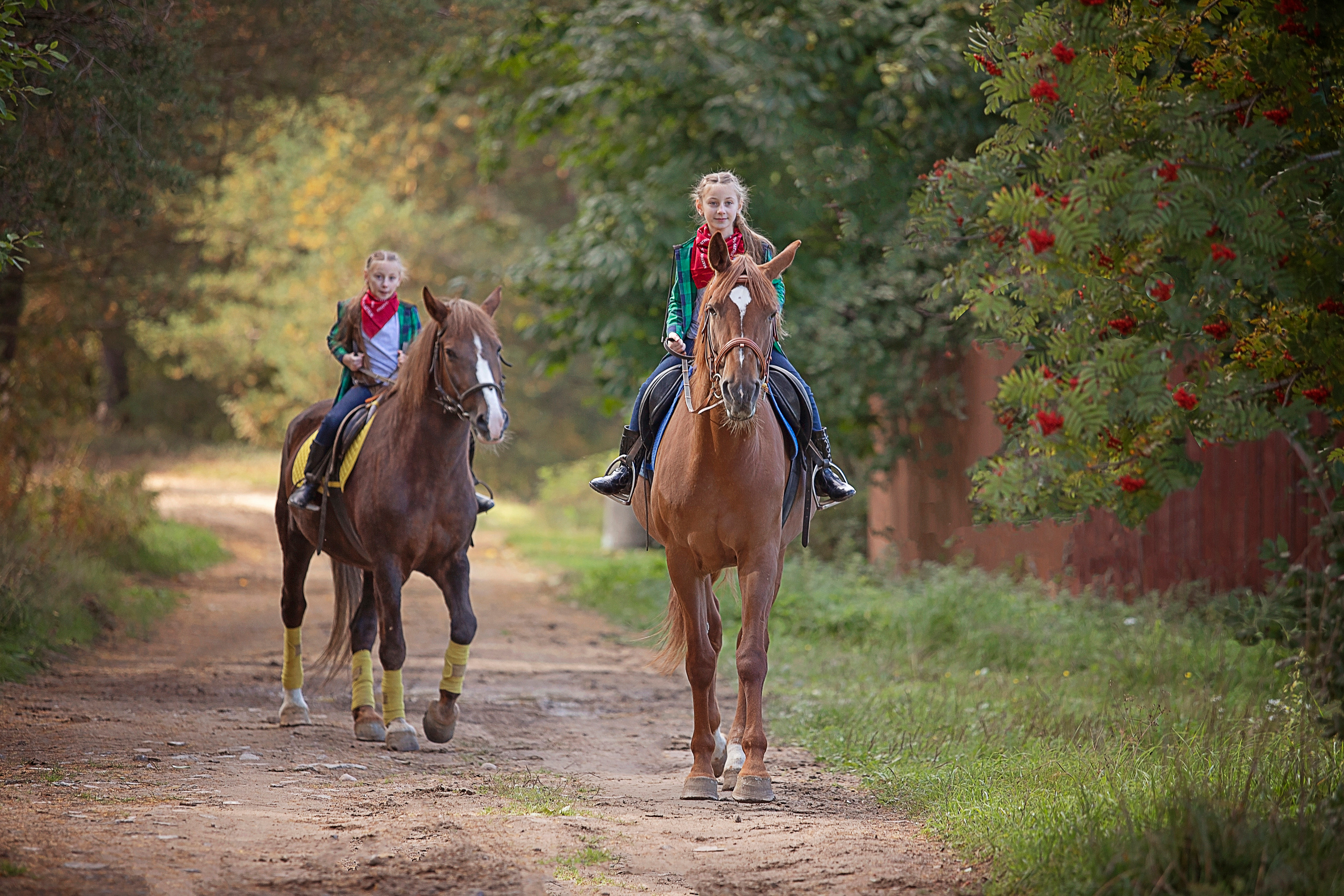 Фотосессии с лошадьми. ДЕТСКИЙ И СЕМЕЙНЫЙ ФОТОГРАФ в Сосново, Ленинградской области и Спб
