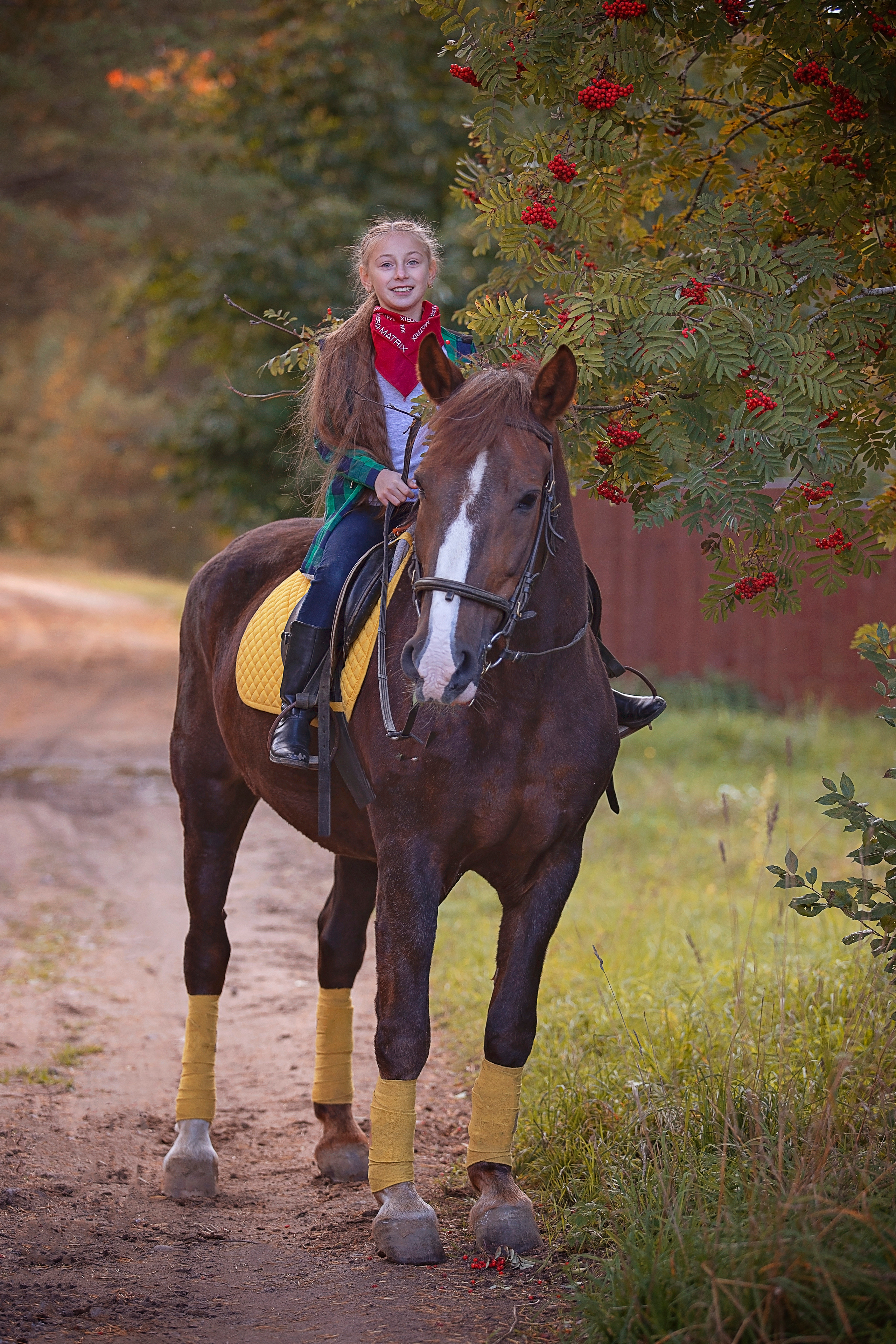 Фотосессии с лошадьми. ДЕТСКИЙ И СЕМЕЙНЫЙ ФОТОГРАФ в Сосново, Ленинградской области и Спб